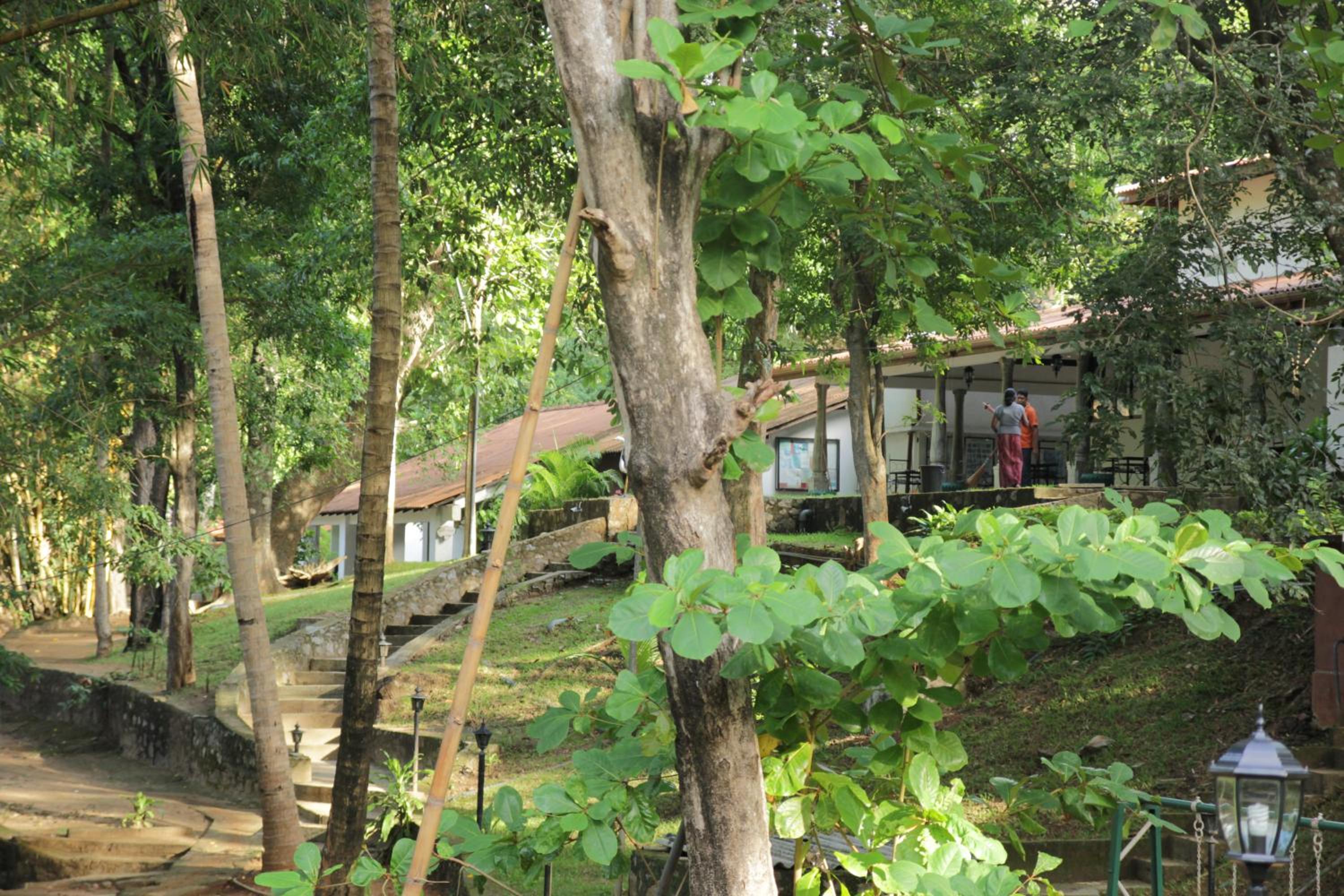 Dambulu Oya Family Park