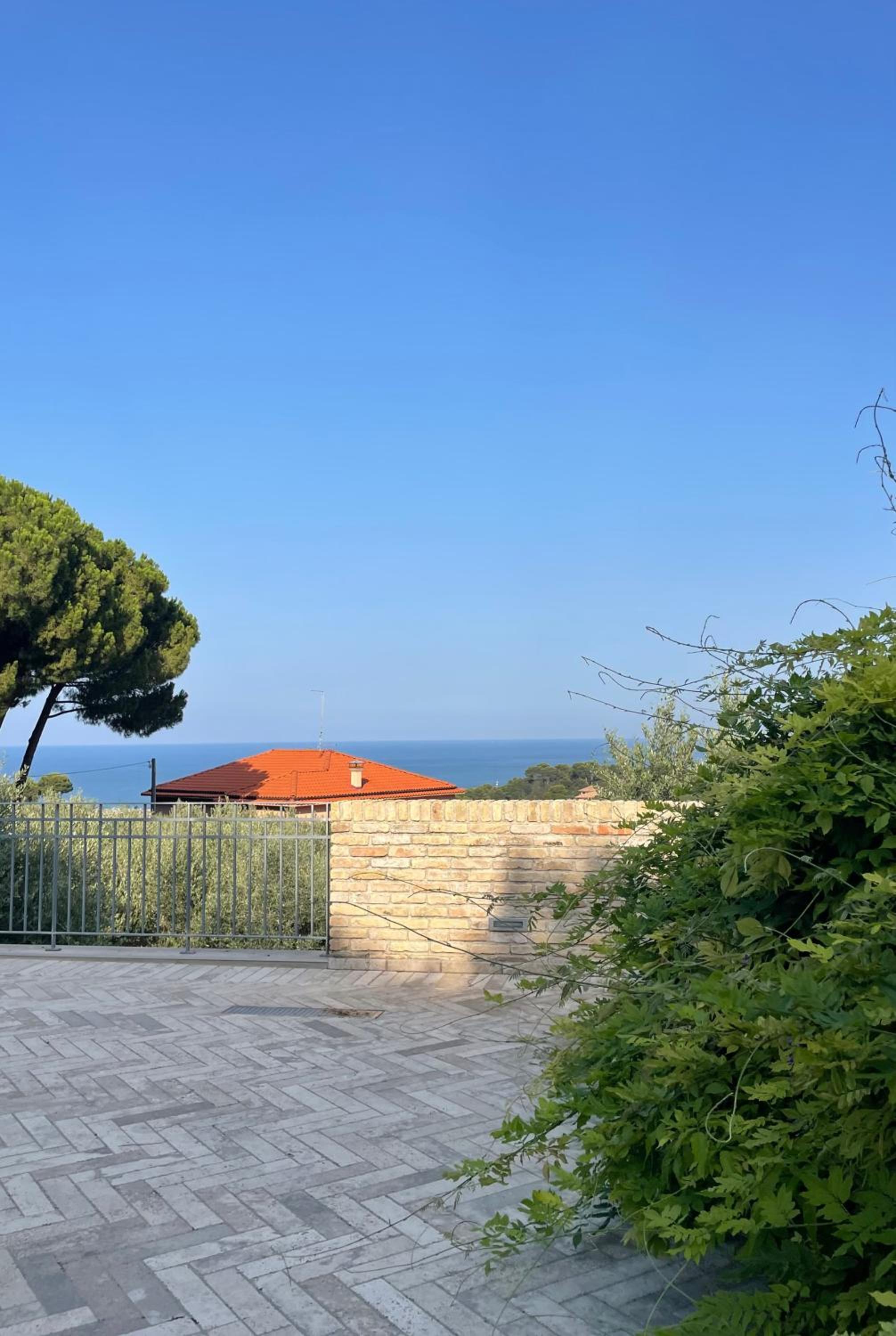 La BouganVillea