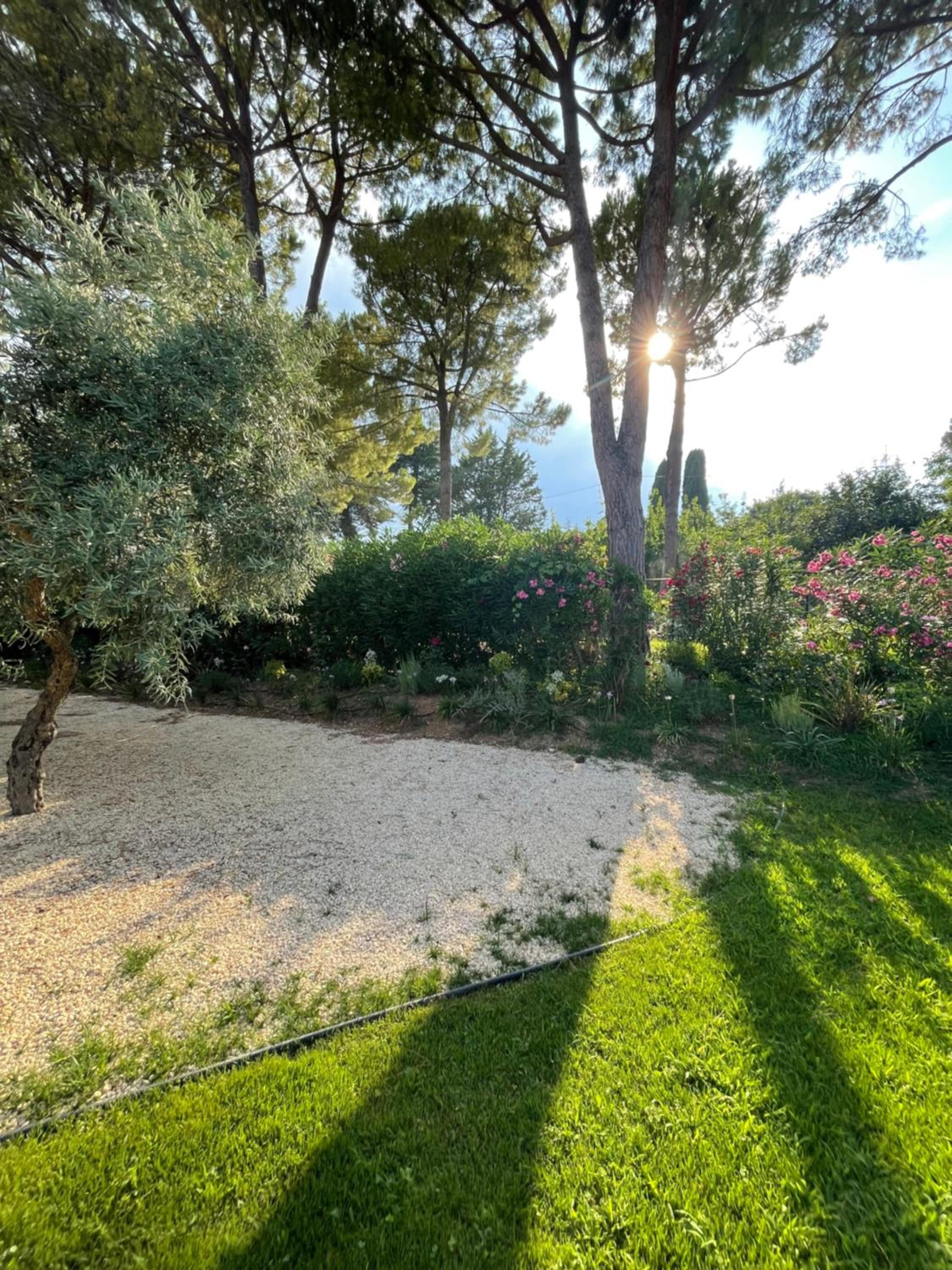 La BouganVillea