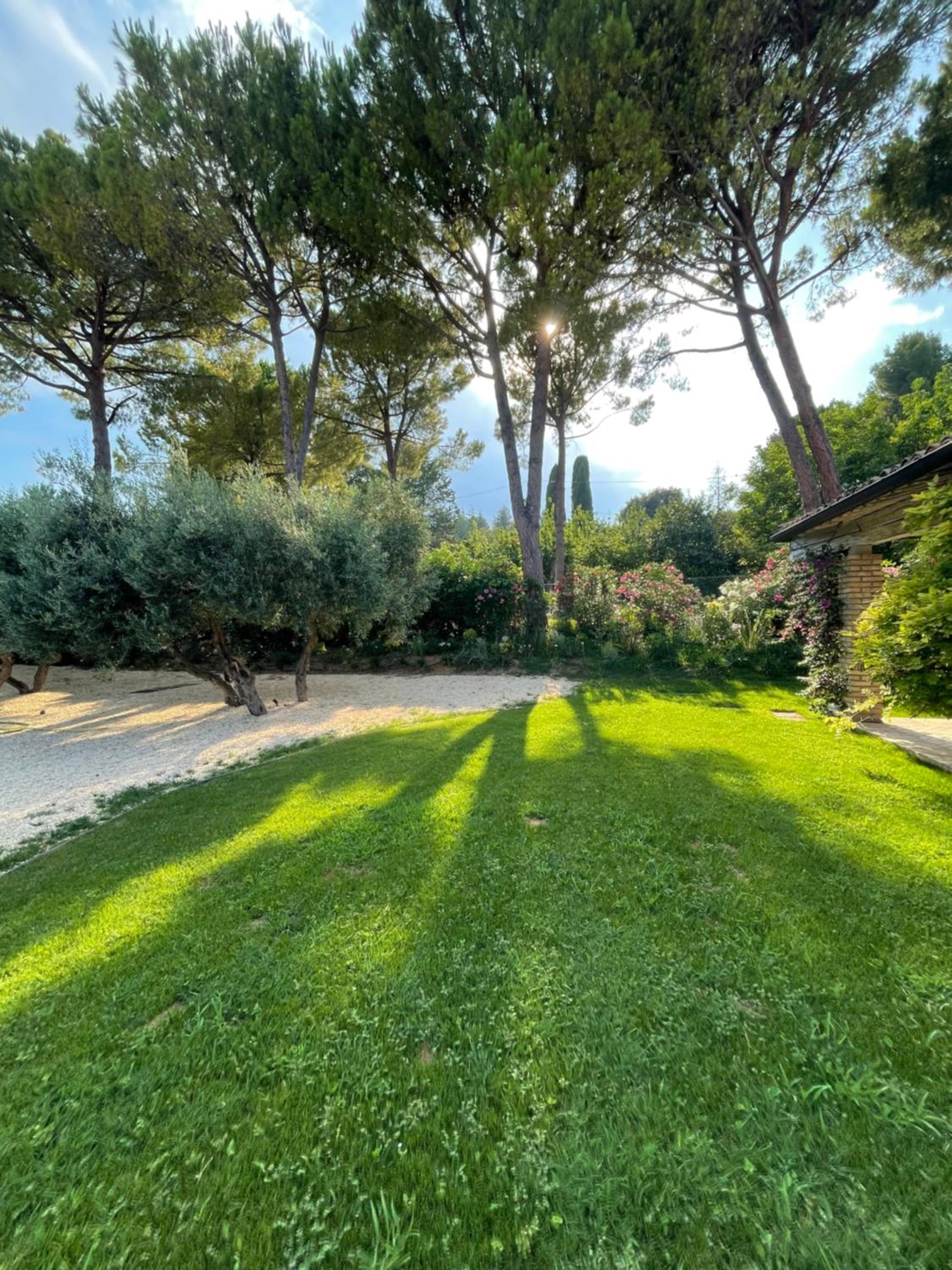 La BouganVillea