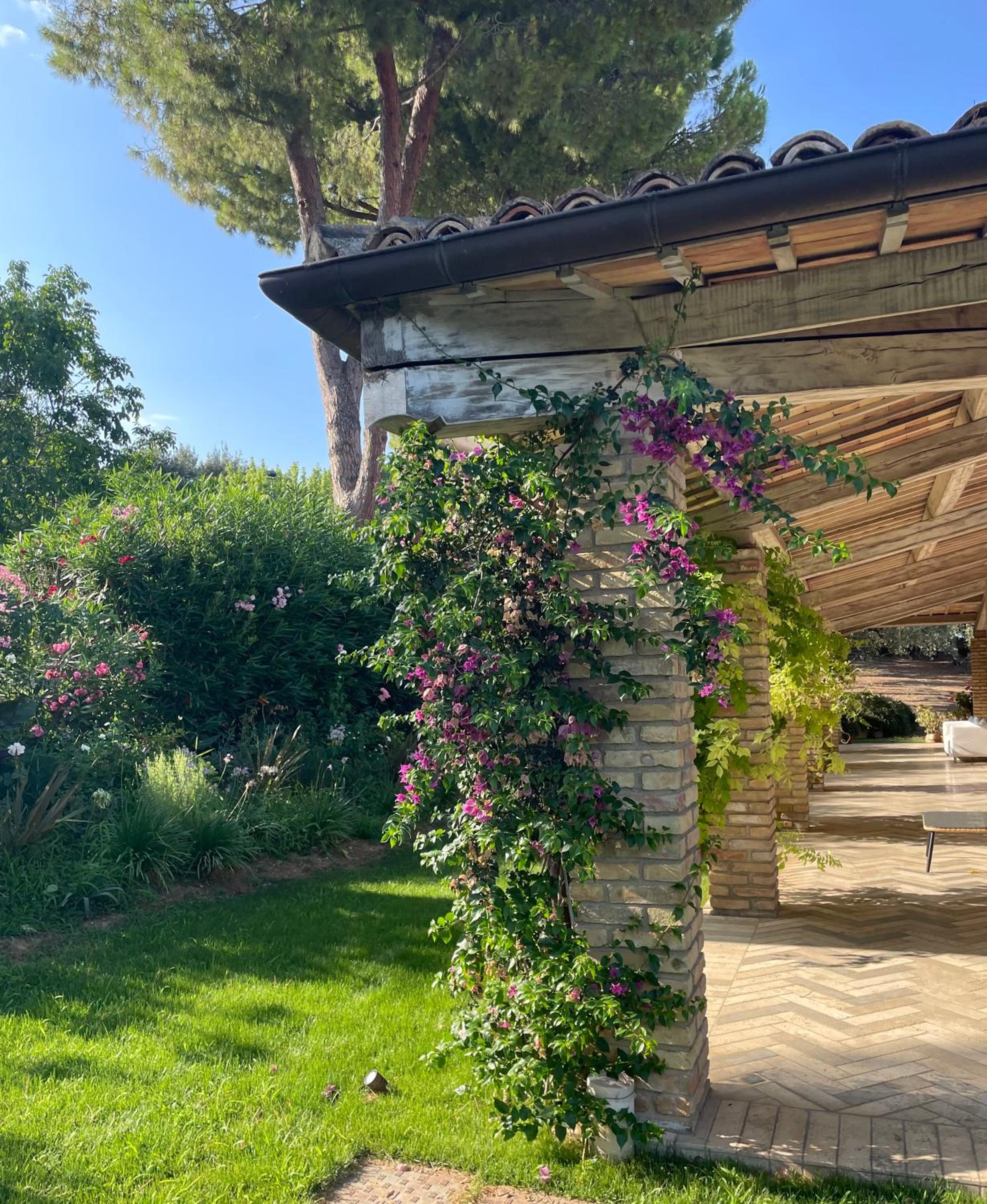 La BouganVillea