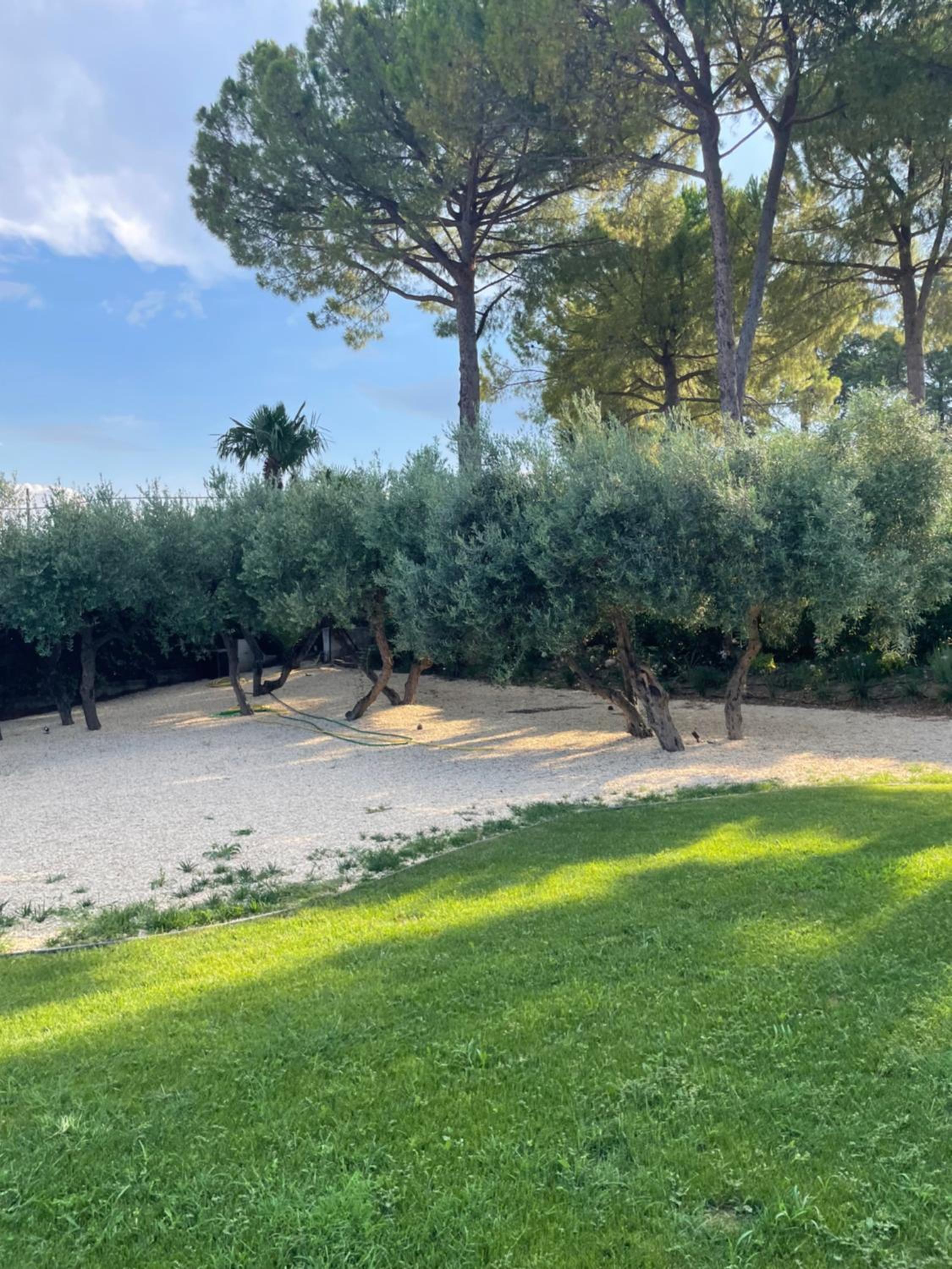 La BouganVillea
