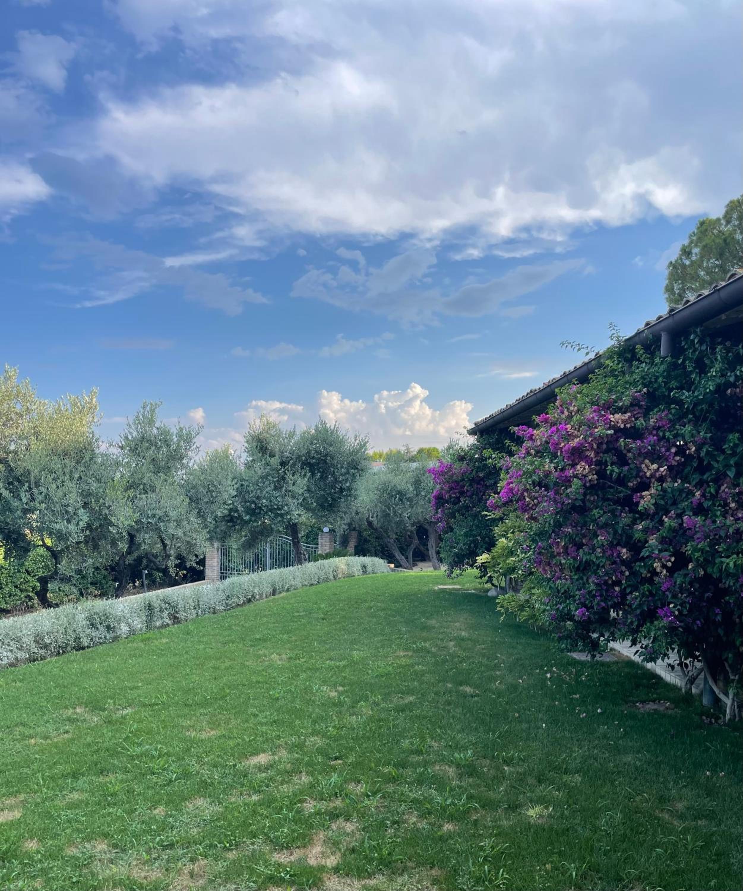 La BouganVillea