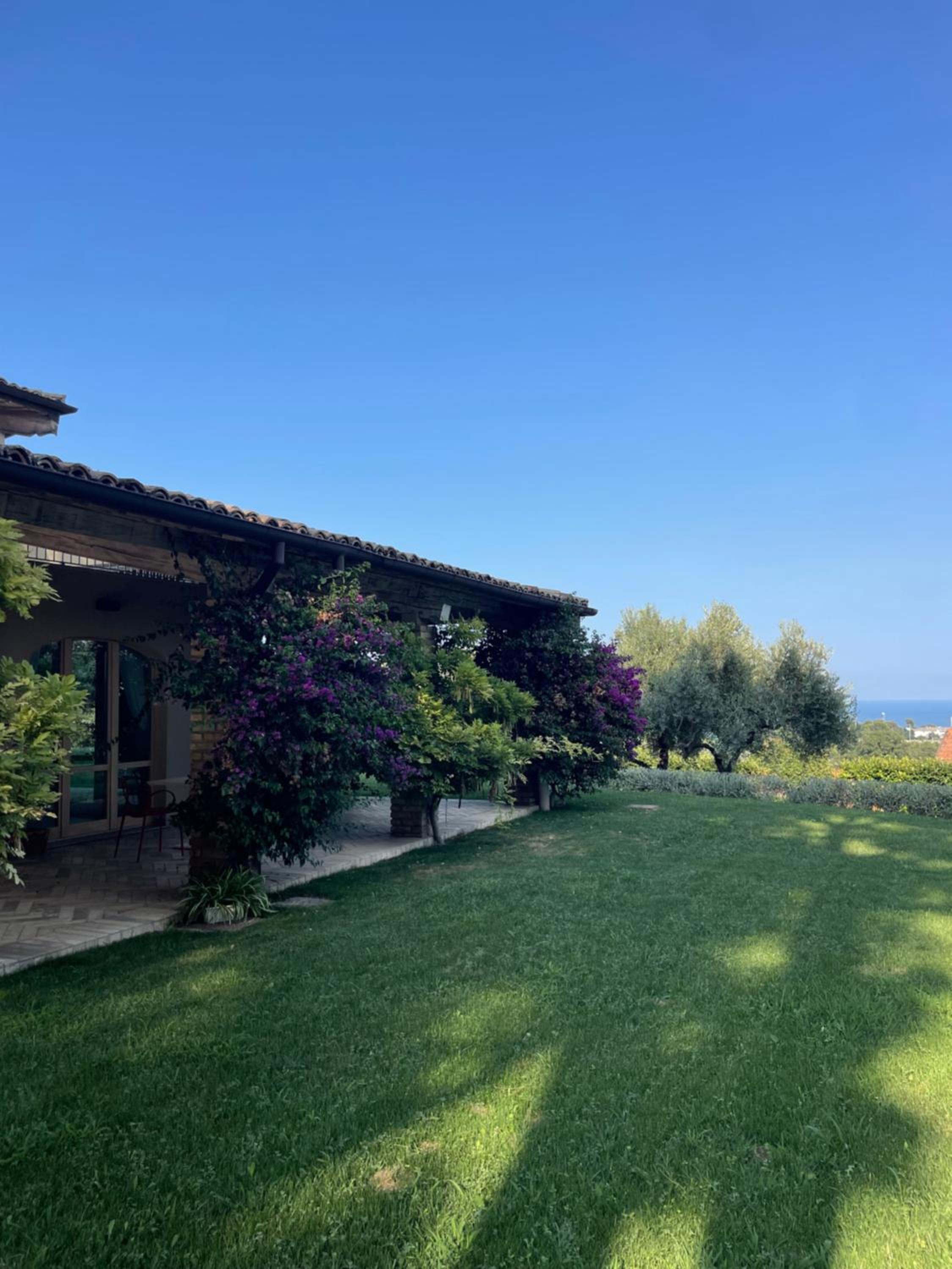 La BouganVillea