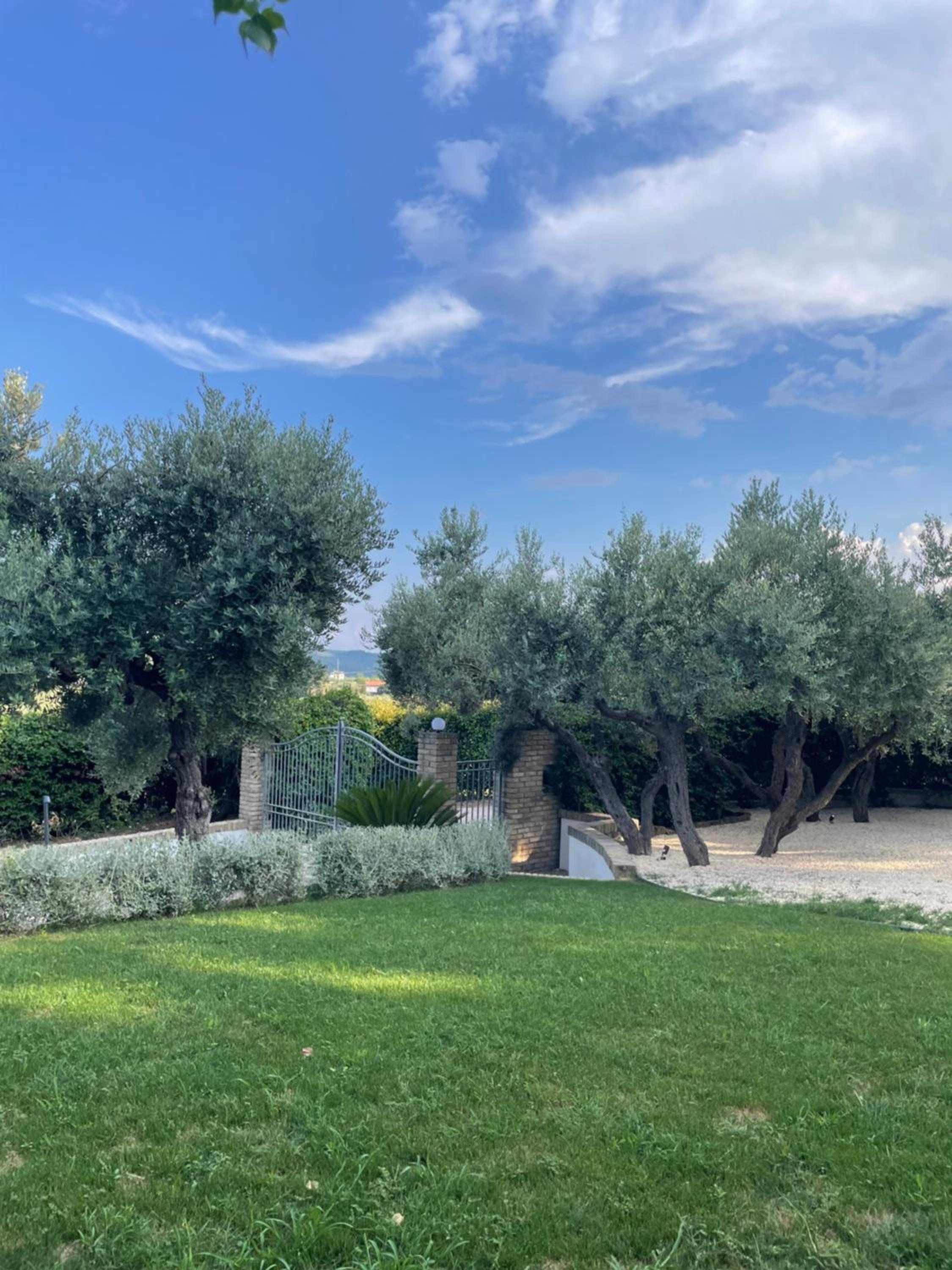 La BouganVillea