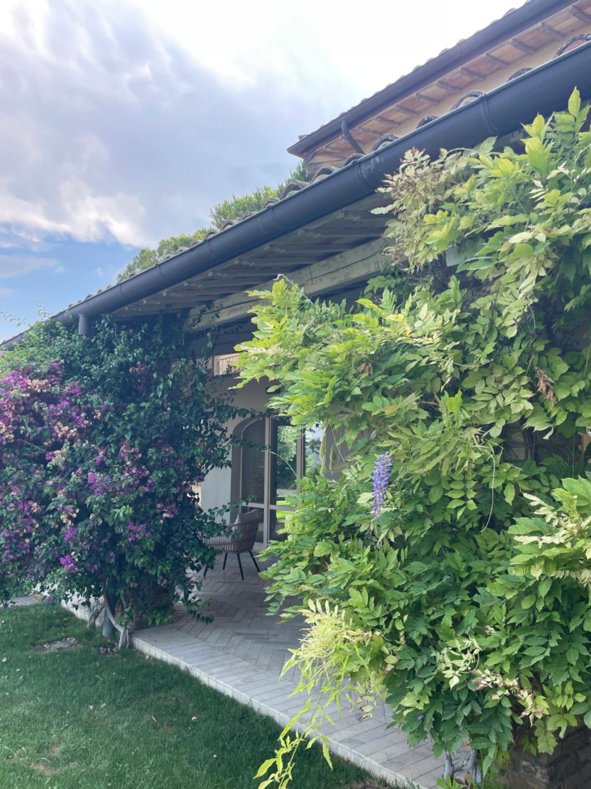 La BouganVillea