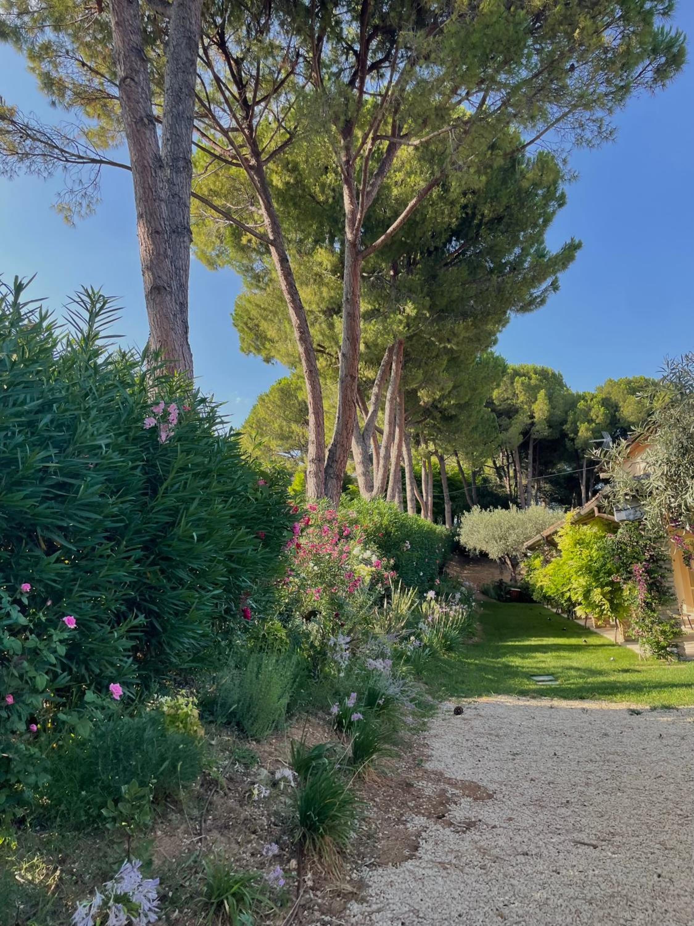 La BouganVillea
