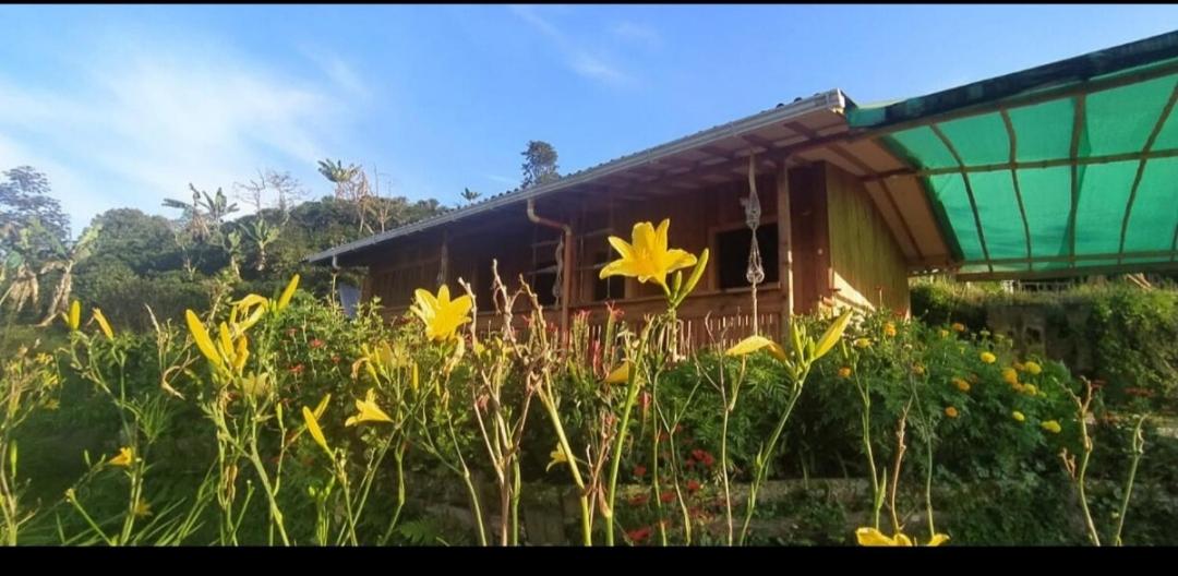 Cabañas Lucerito Turpial