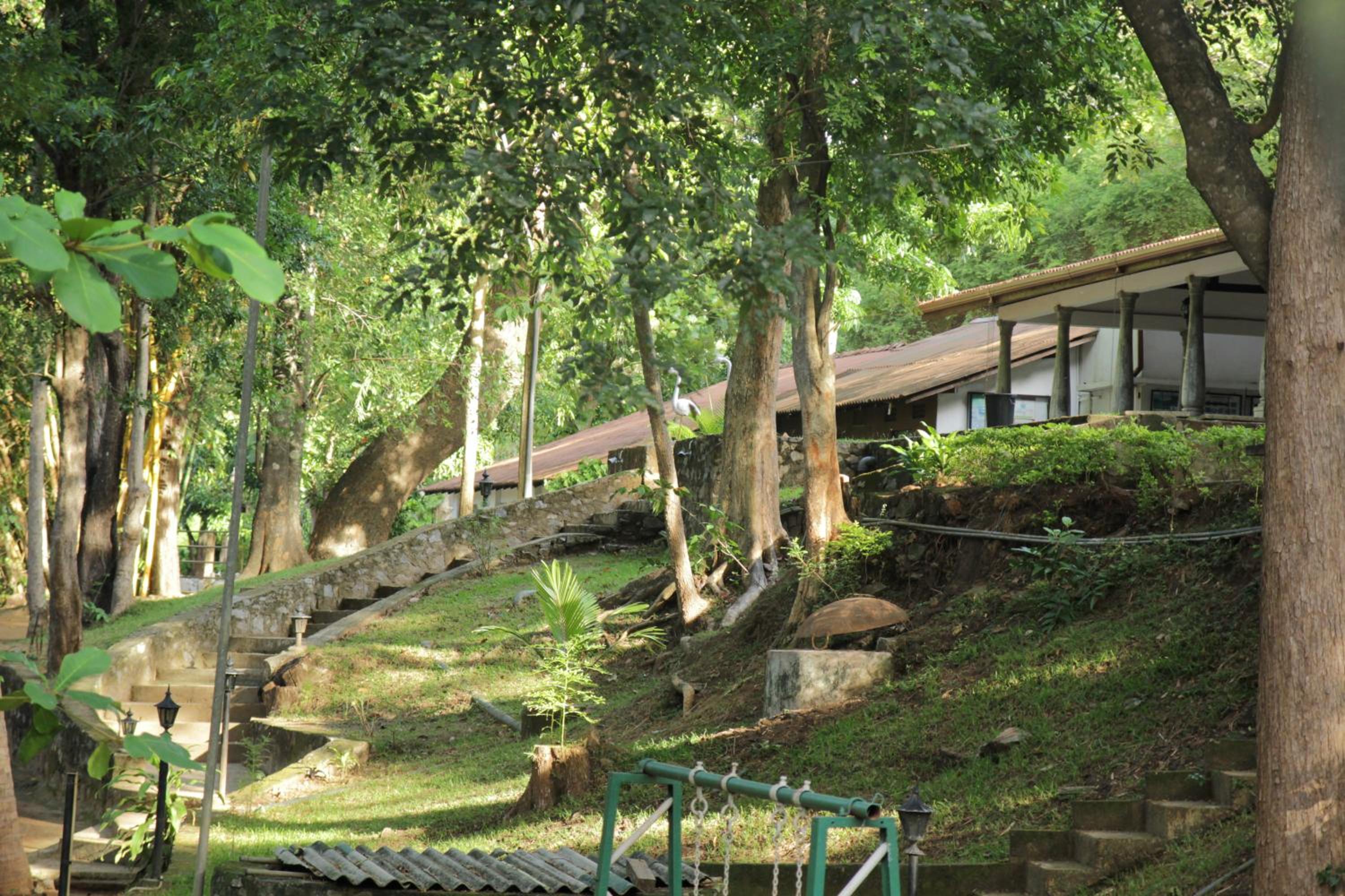 Dambulu Oya Family Park