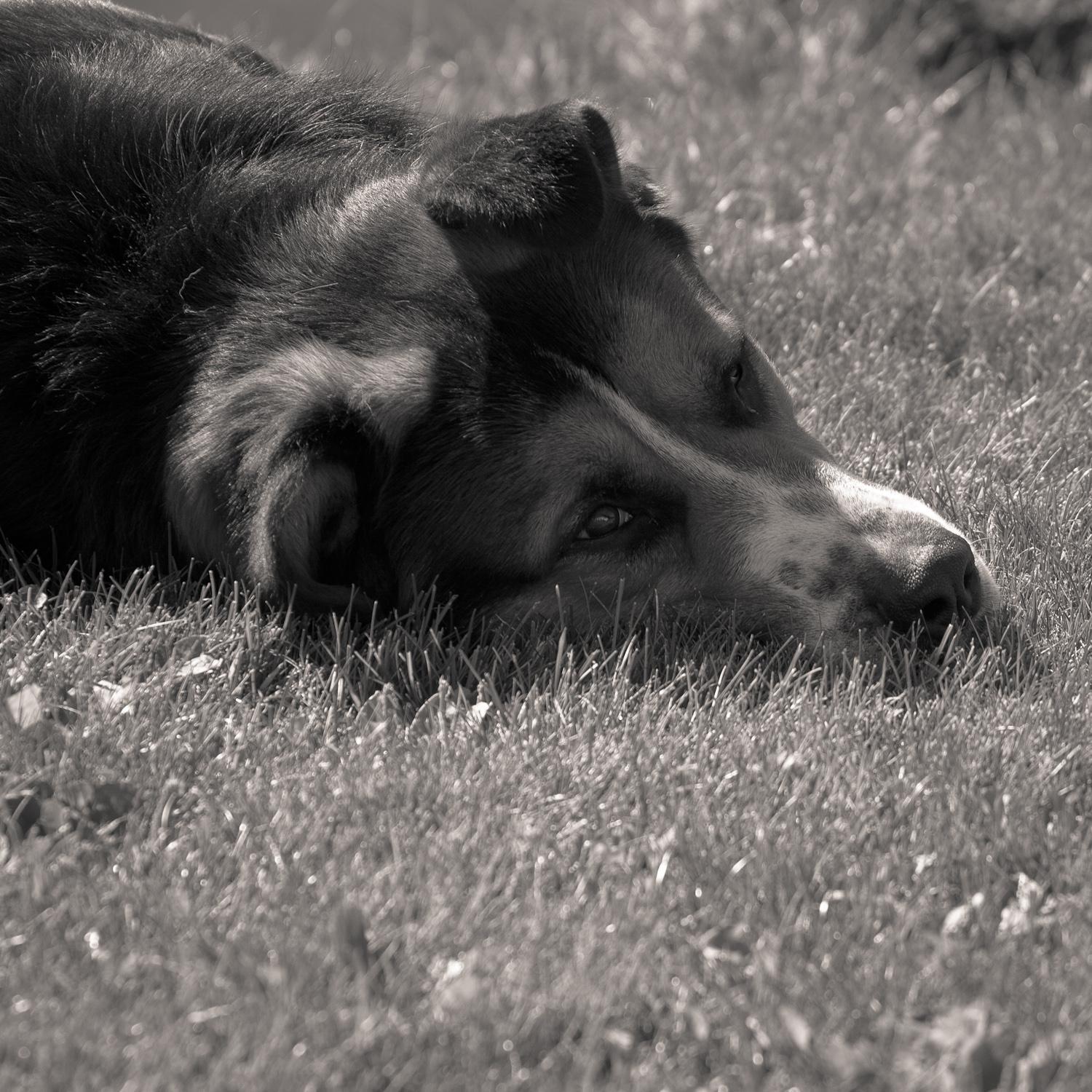 Photo 32