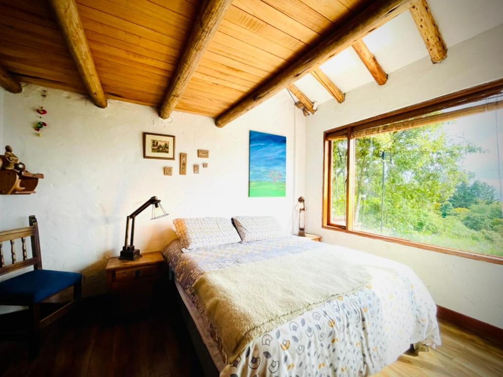 Varsovia, chalet, hospedaje