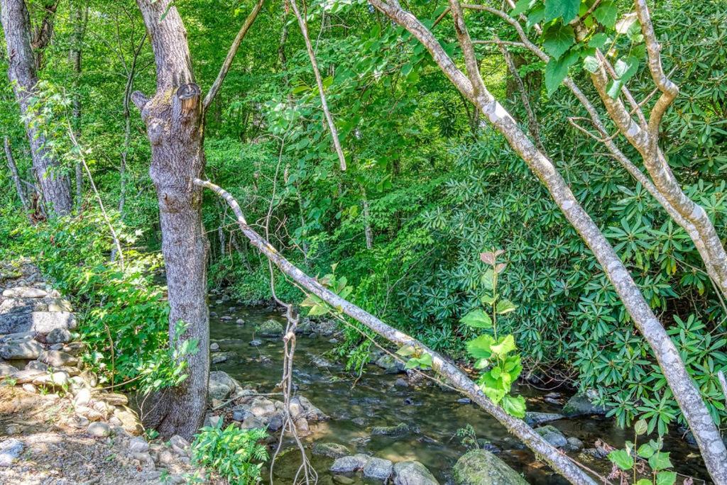 Serenity Cottage, Pickleball Court, Creek, WIFI, Mountain Views, Starting at 79