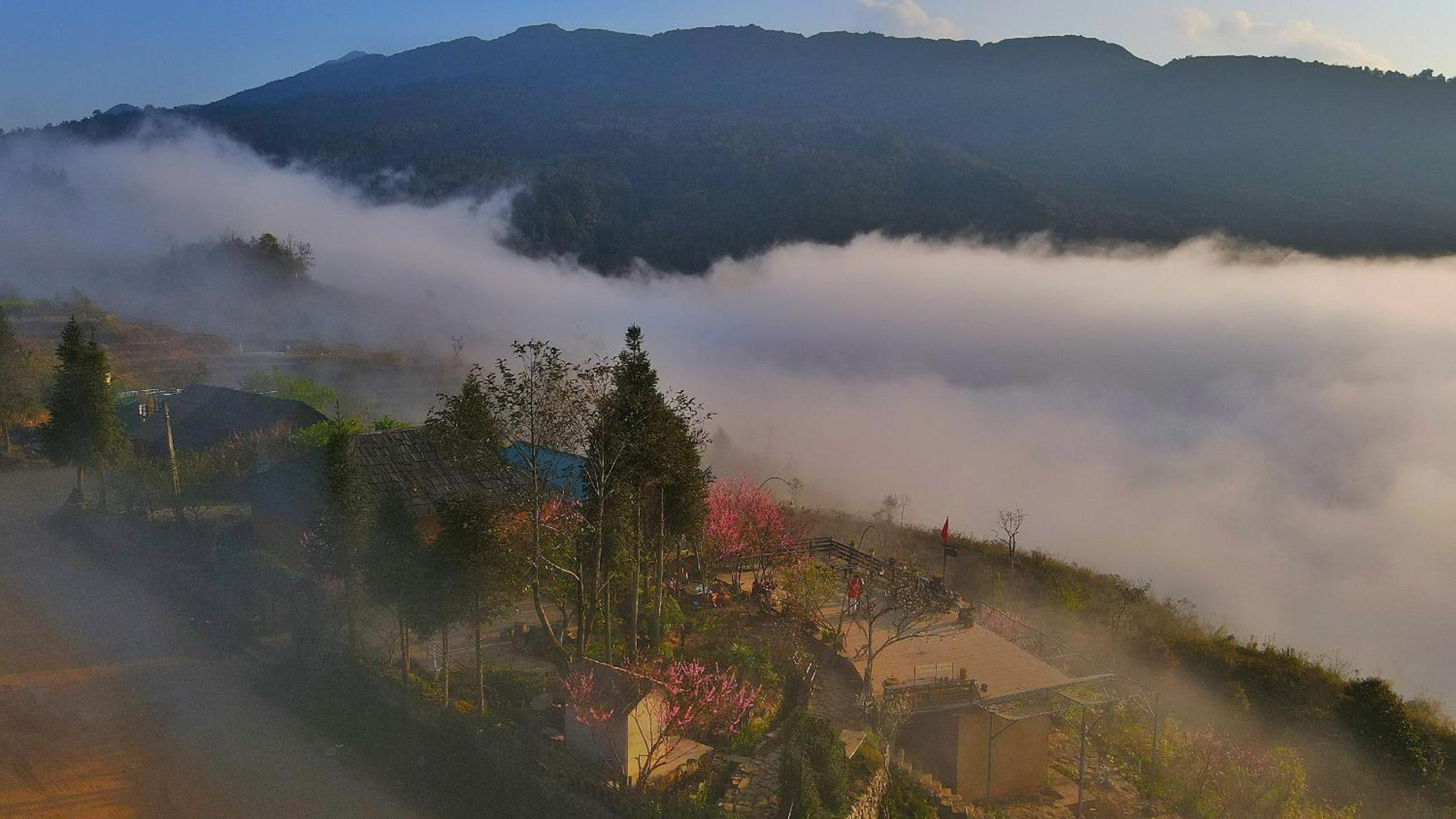 Homestay Y Ty cloud