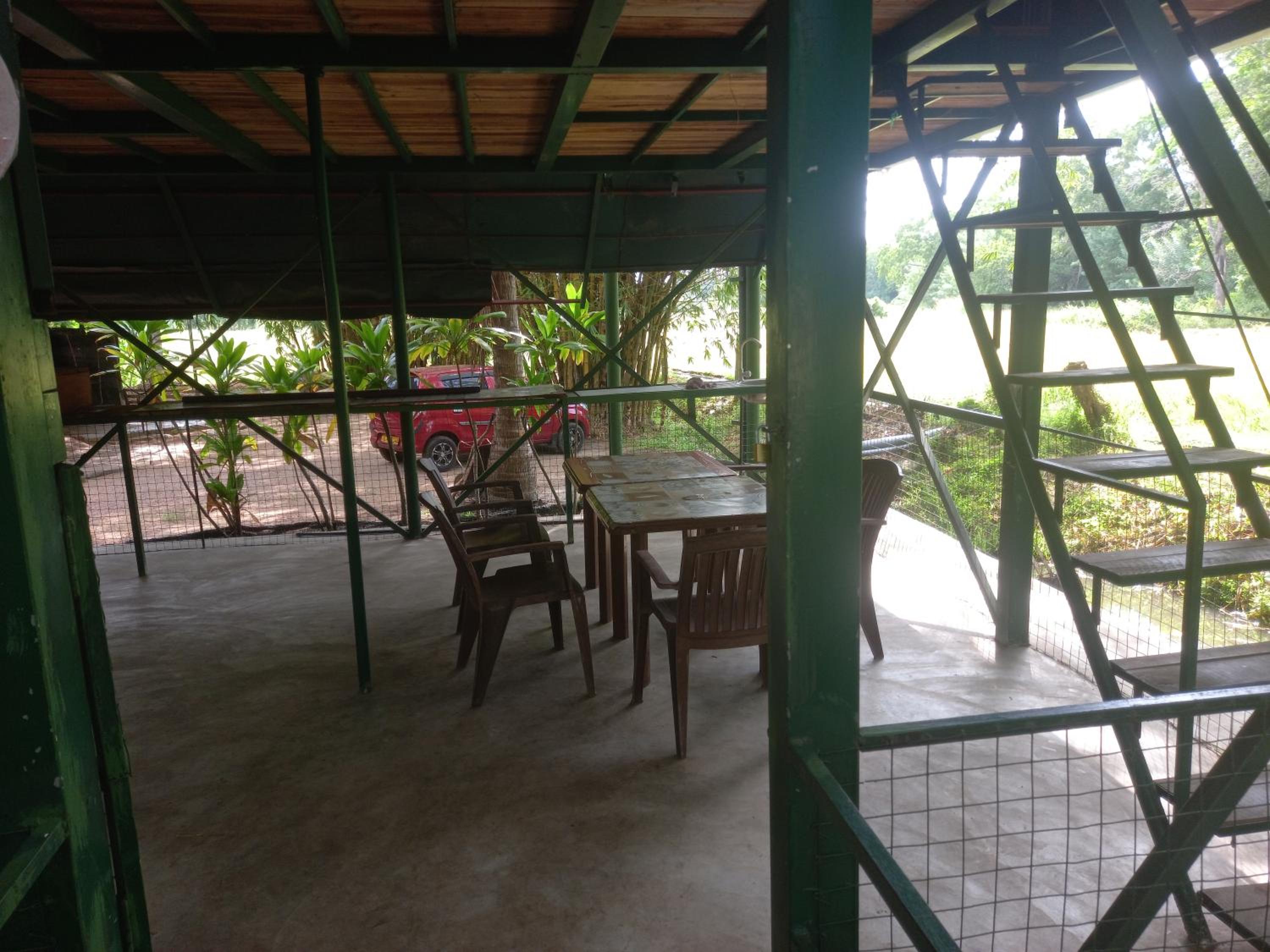bamboo eco cabana view 5