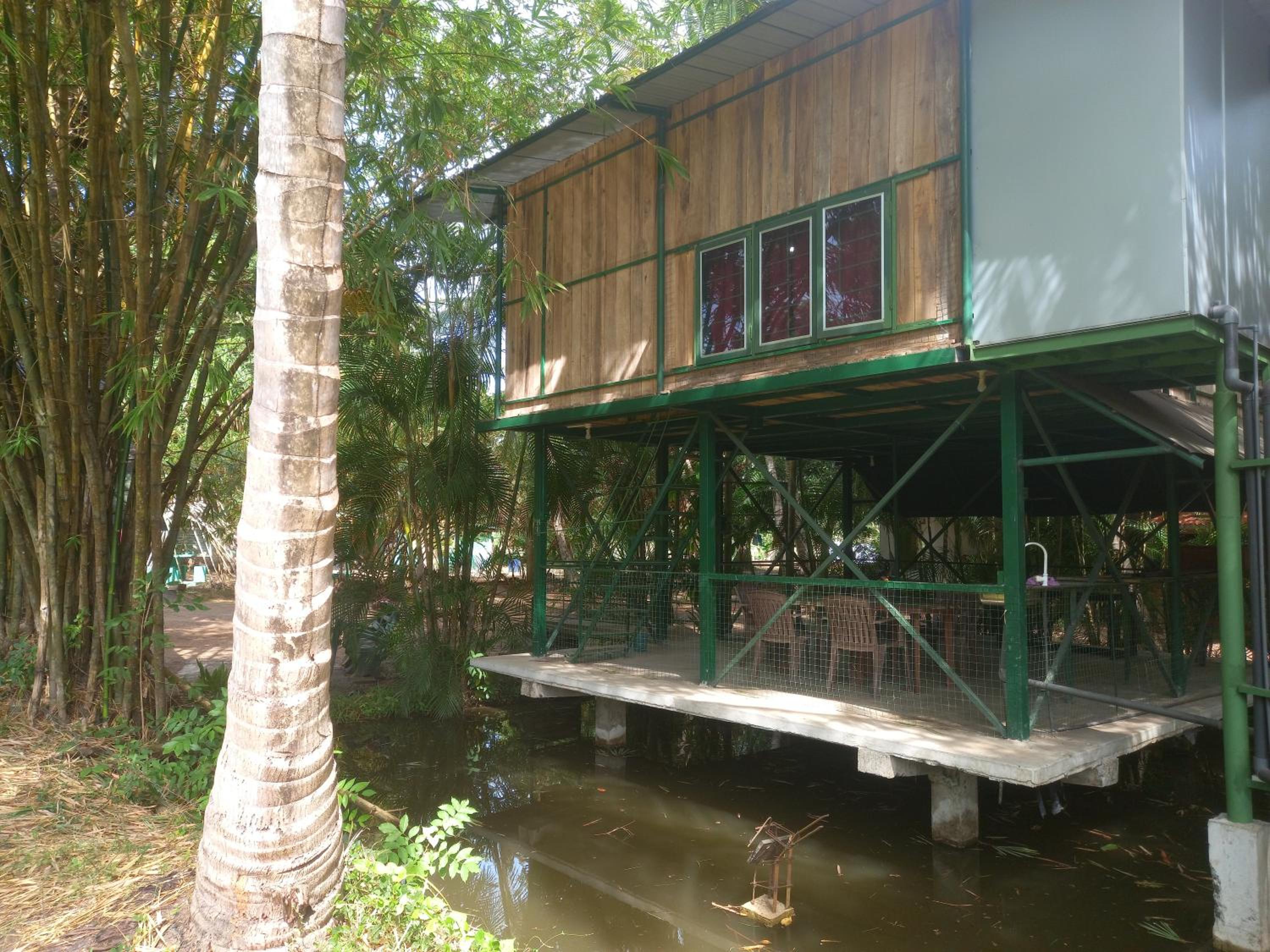 Photo 8