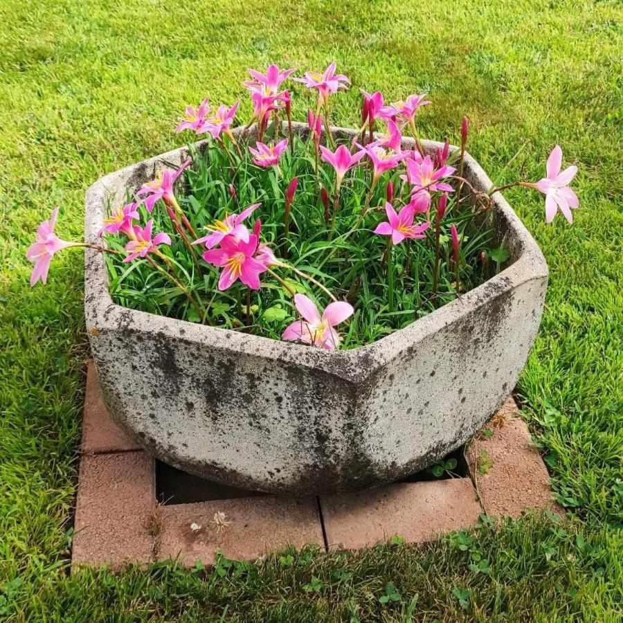 Photo 31