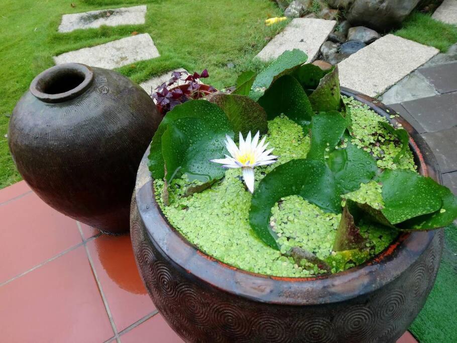 Herland Homestay