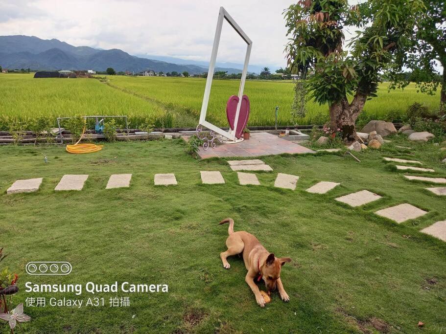 Herland Homestay