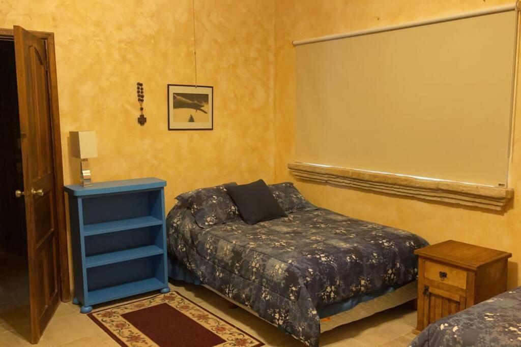 Photo 8