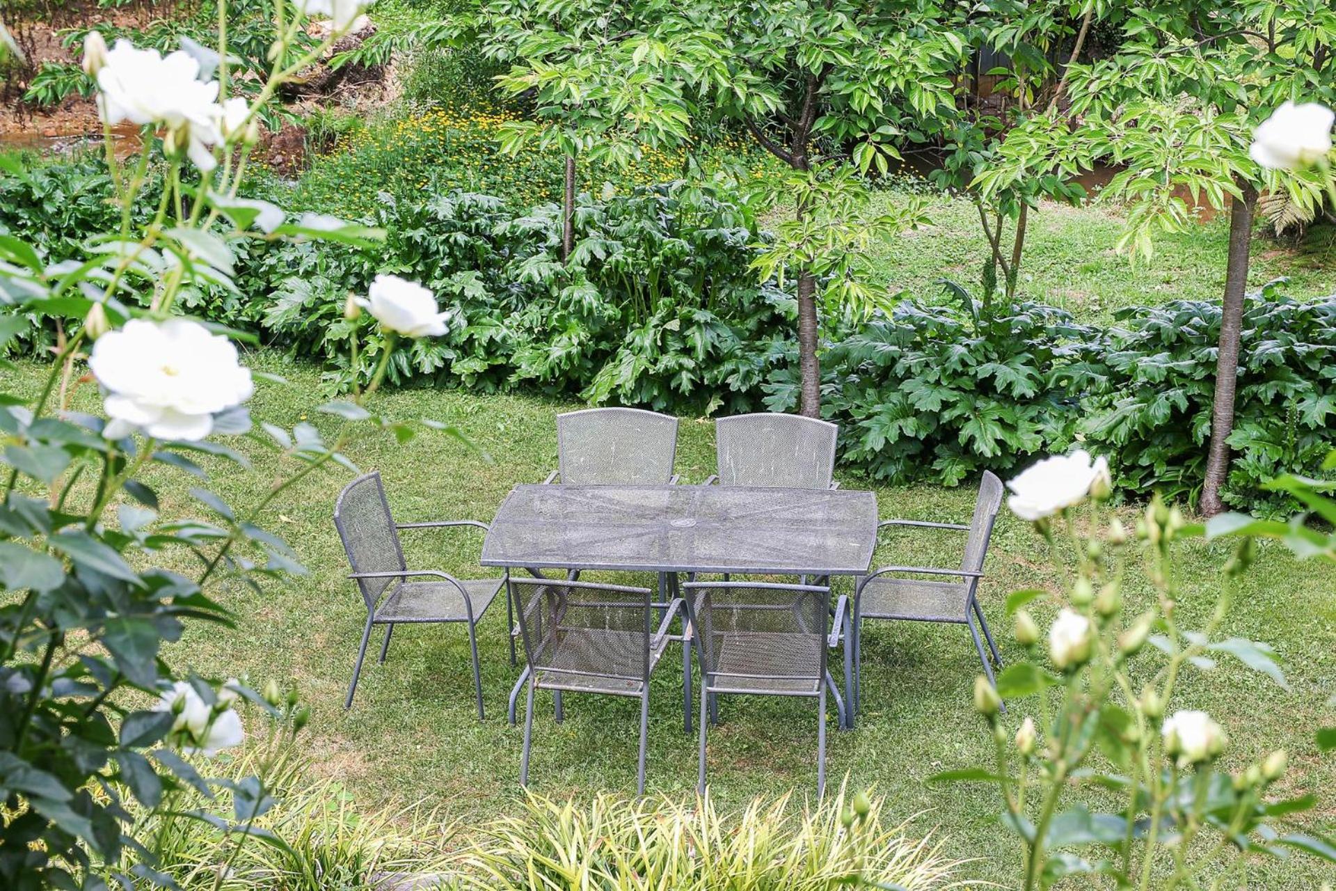 Spring Creek Cottage