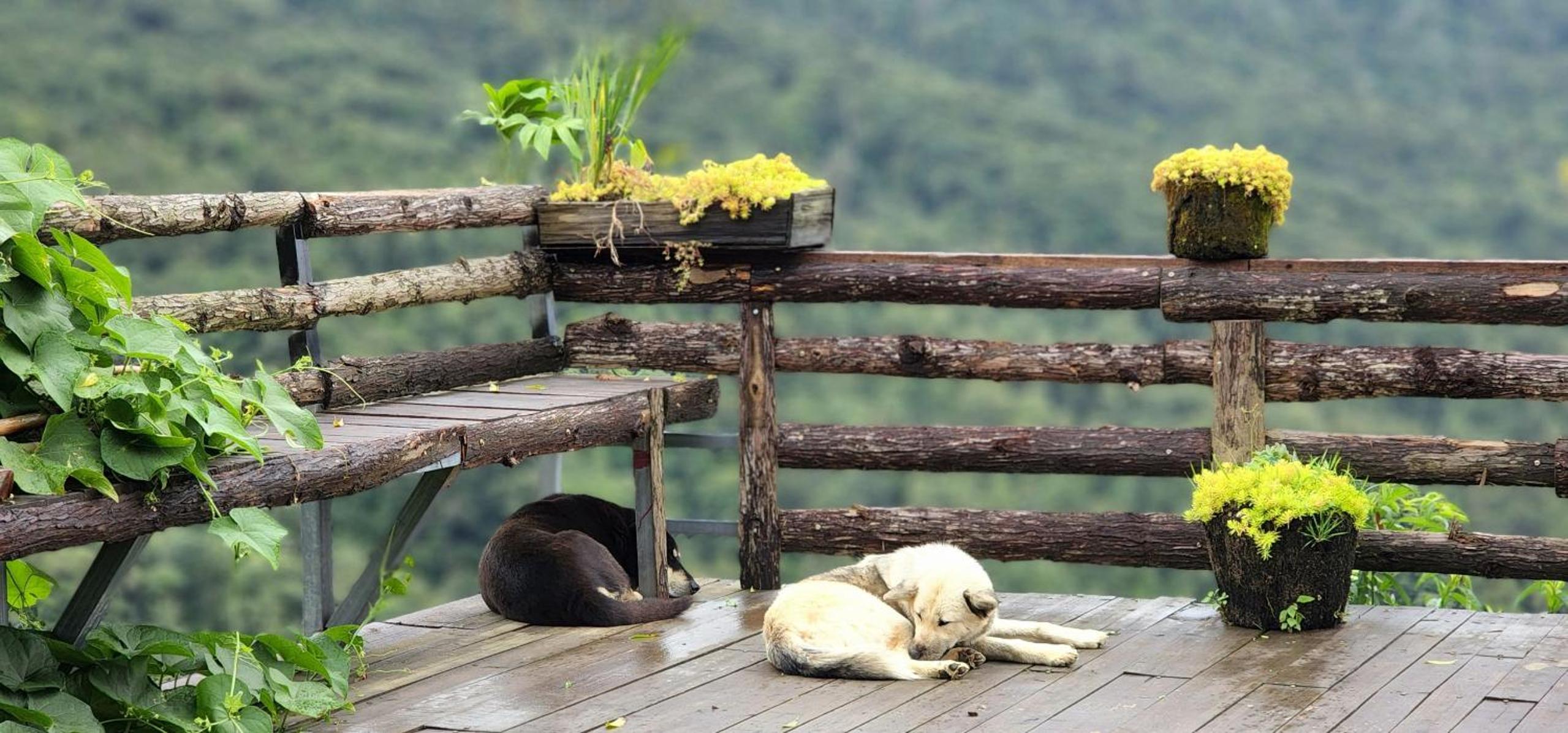 Homestay Y Ty cloud