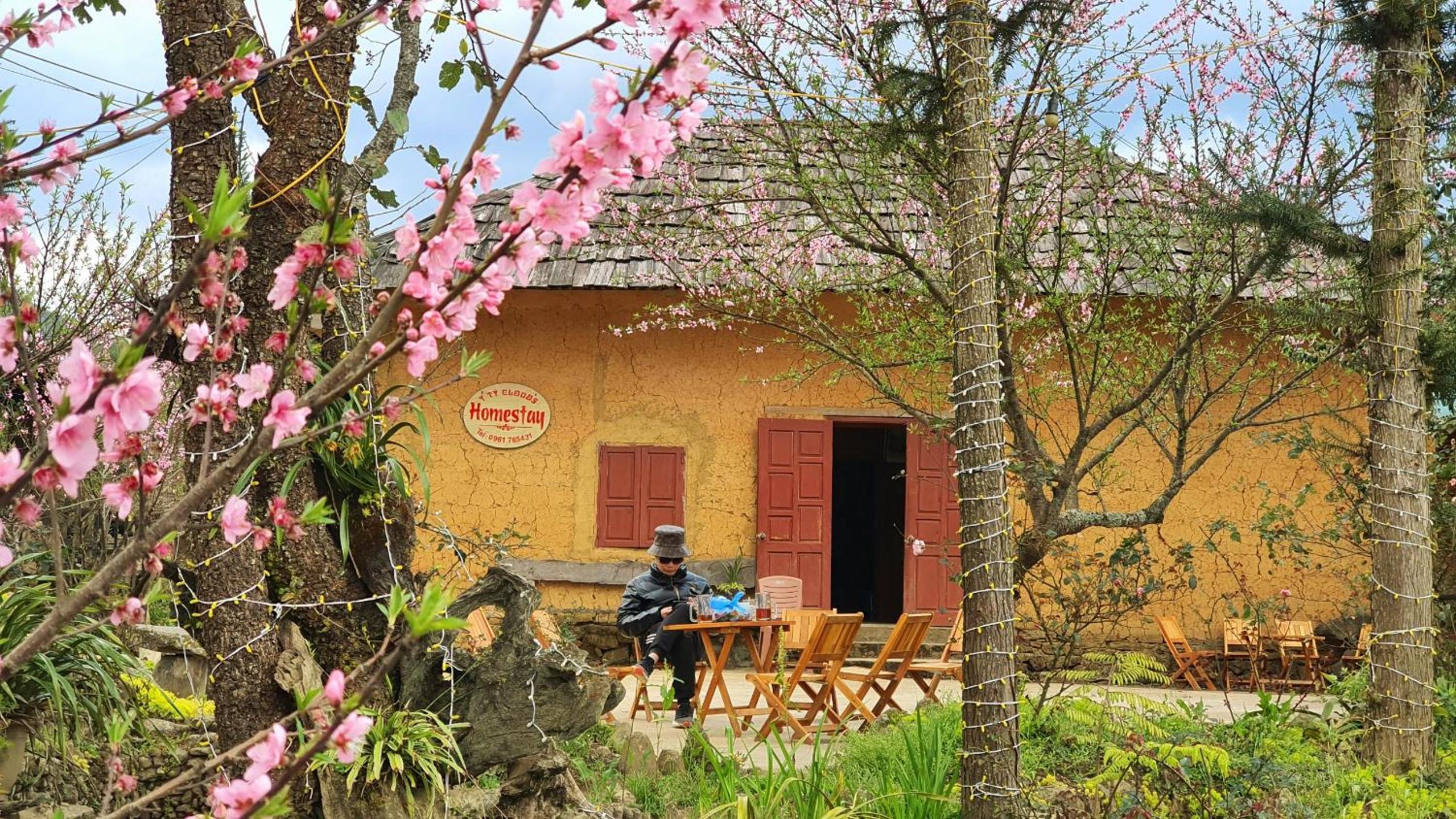 Homestay Y Ty cloud