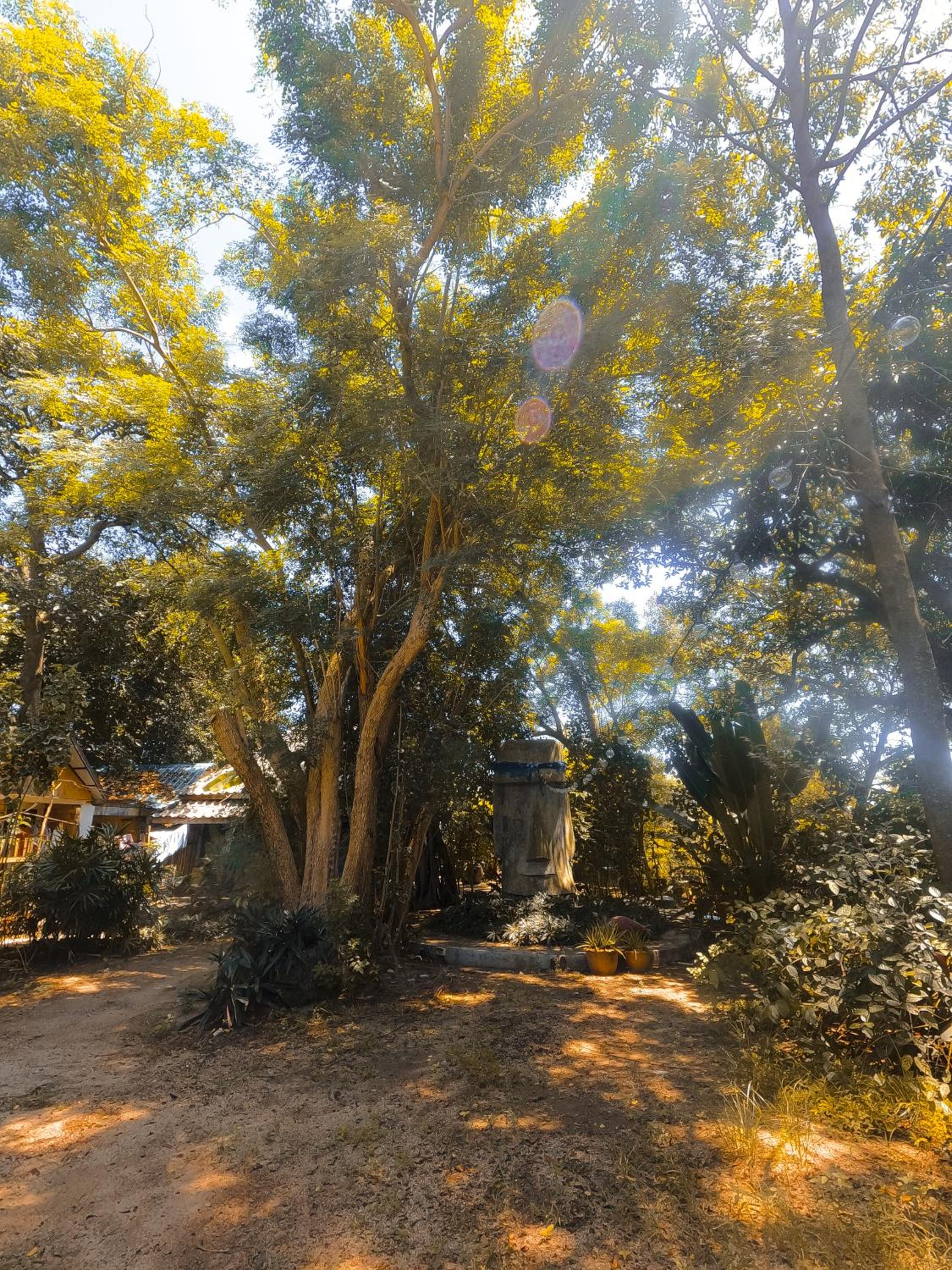 MoovInn Garden Guesthouse