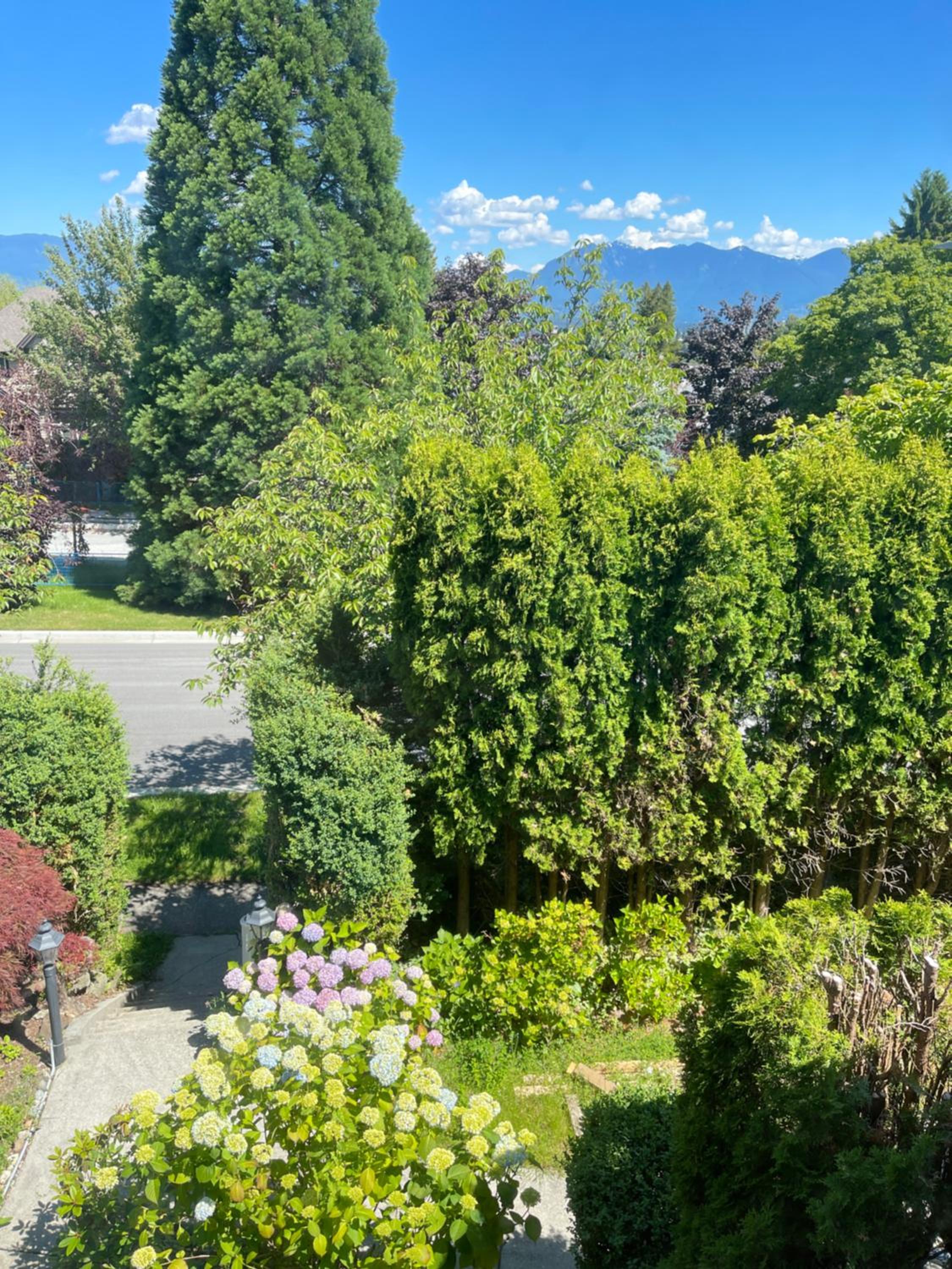Cozy Guest Rooms Near UBC, Downtown and Beaches