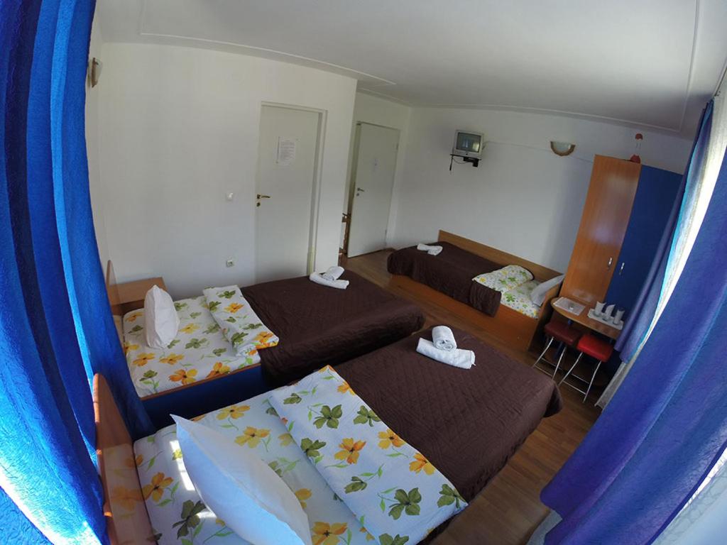 Photo 44