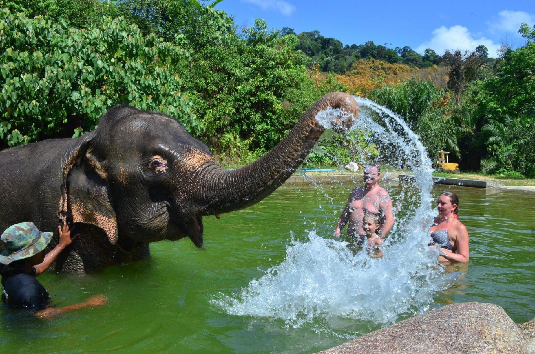 Baan Krating Khao Lak Resort - SHA plus