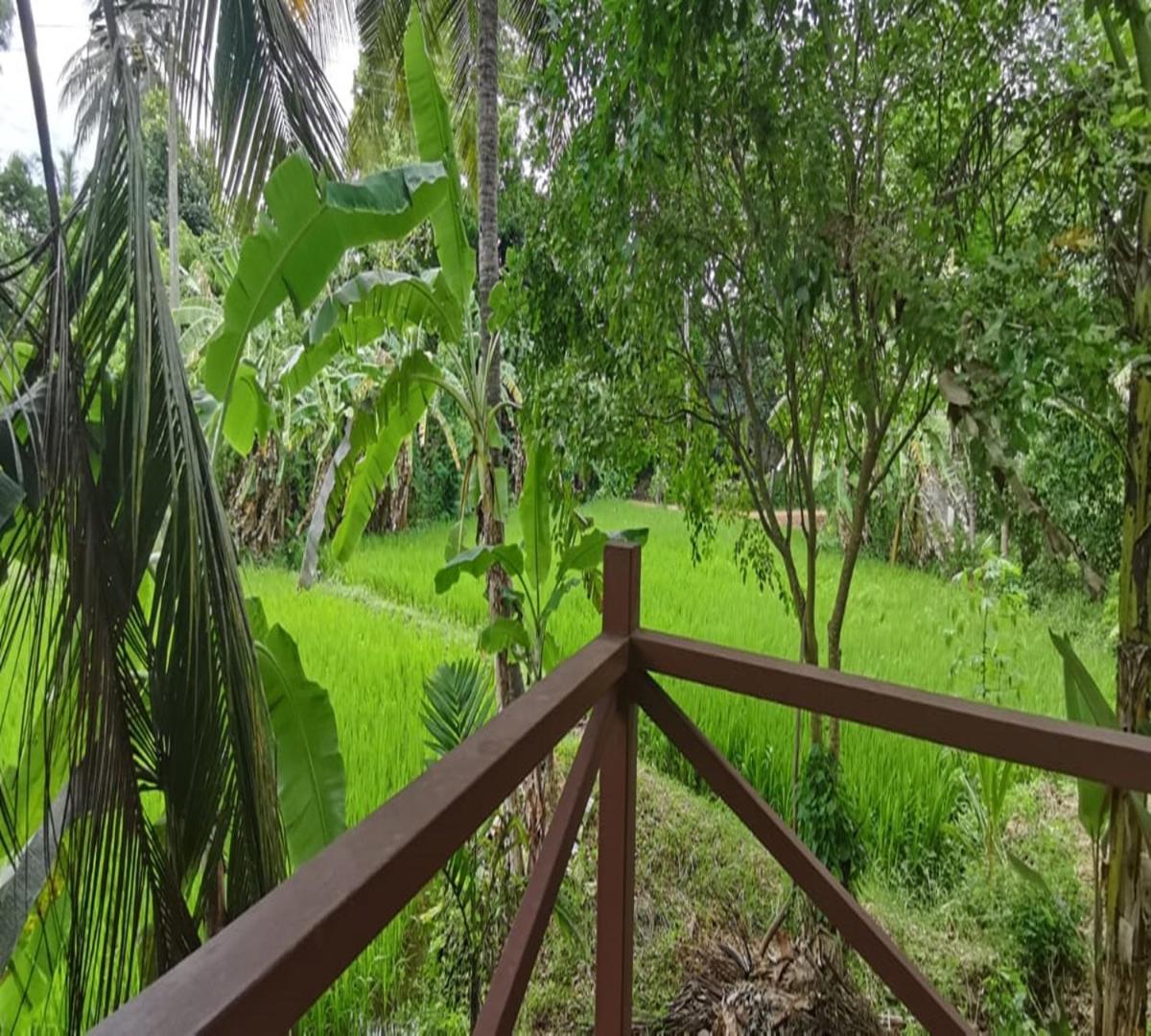 Rajarata Family Resort
