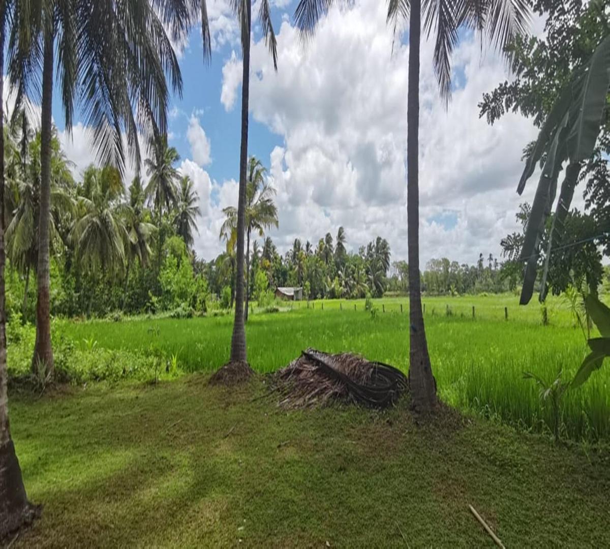 Rajarata Family Resort