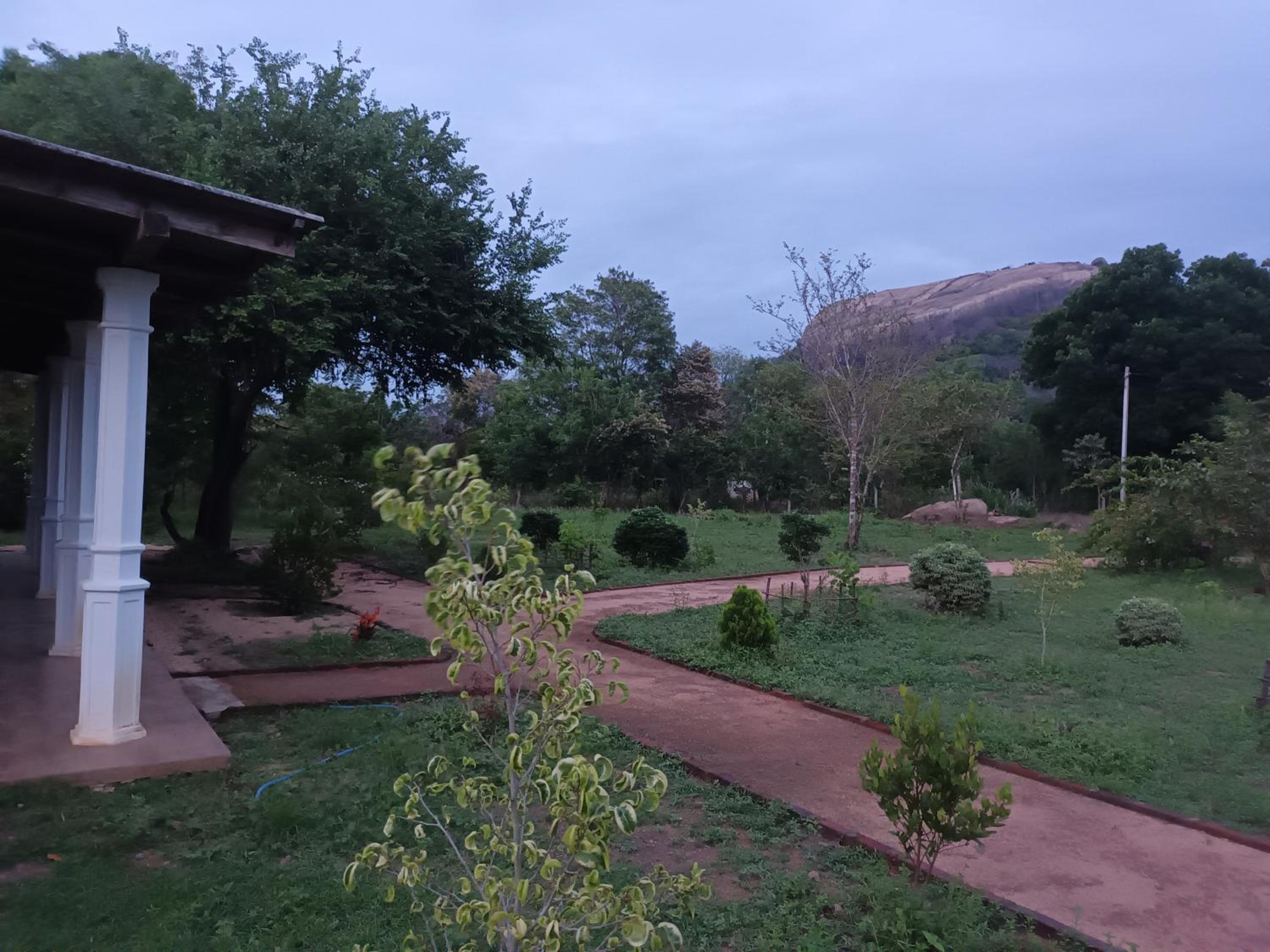 Sigiri Arana Sigiriya
