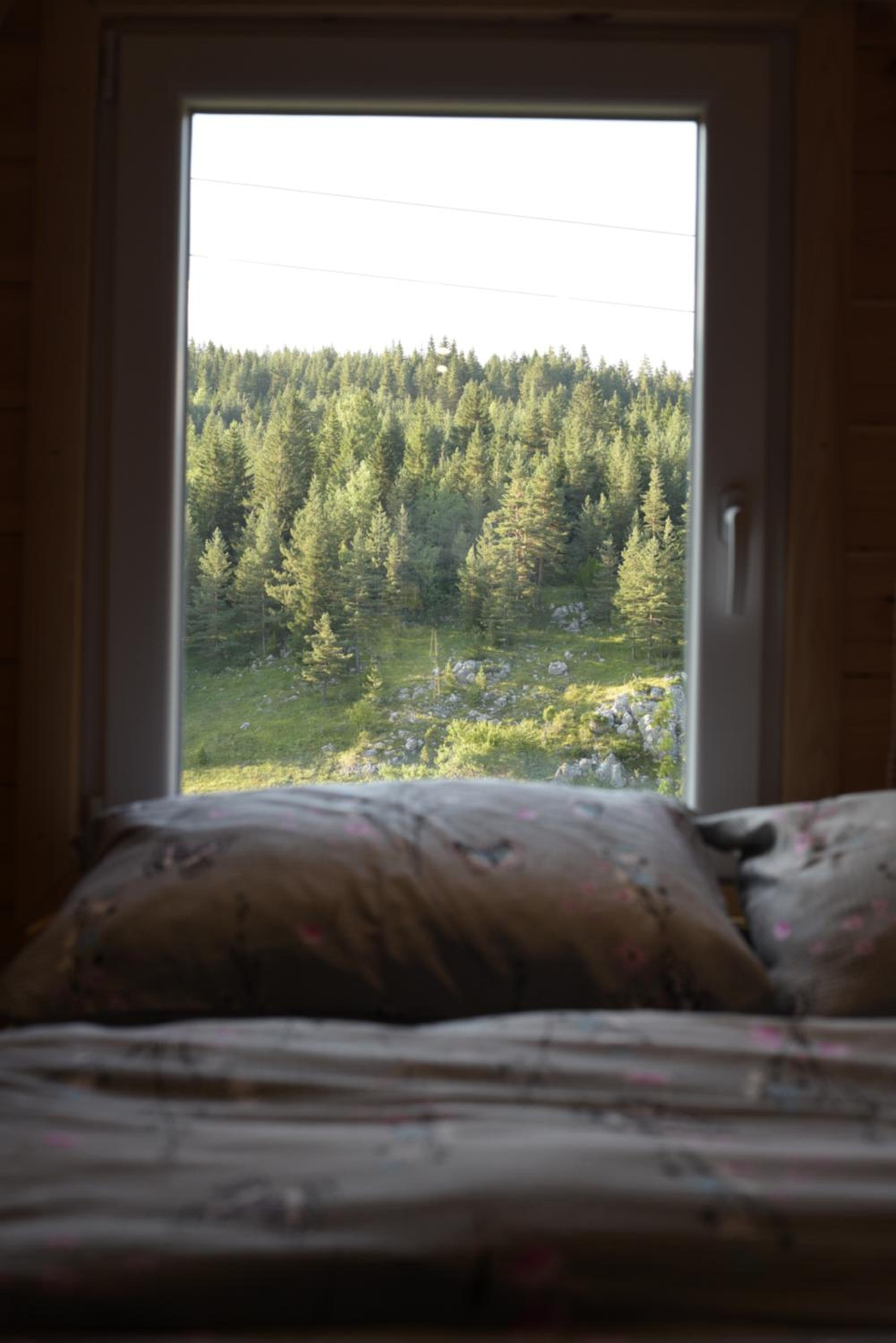 Mountain Paradise Cabins