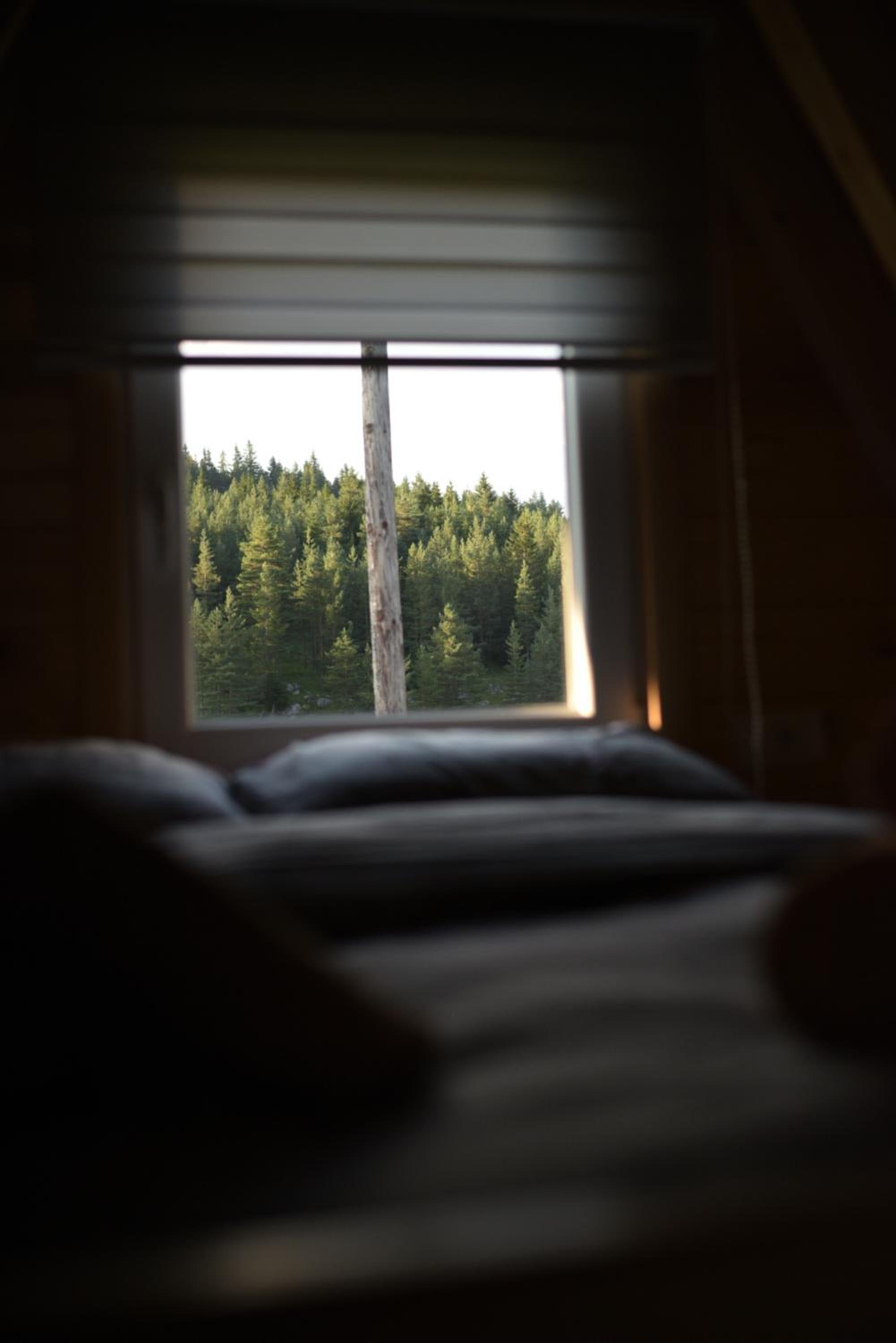 Mountain Paradise Cabins