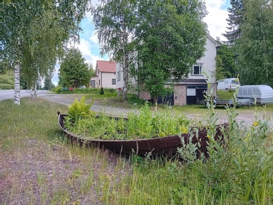 Tilava yksiö suurella puutarhalla