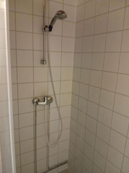 Tilava yksiö suurella puutarhalla