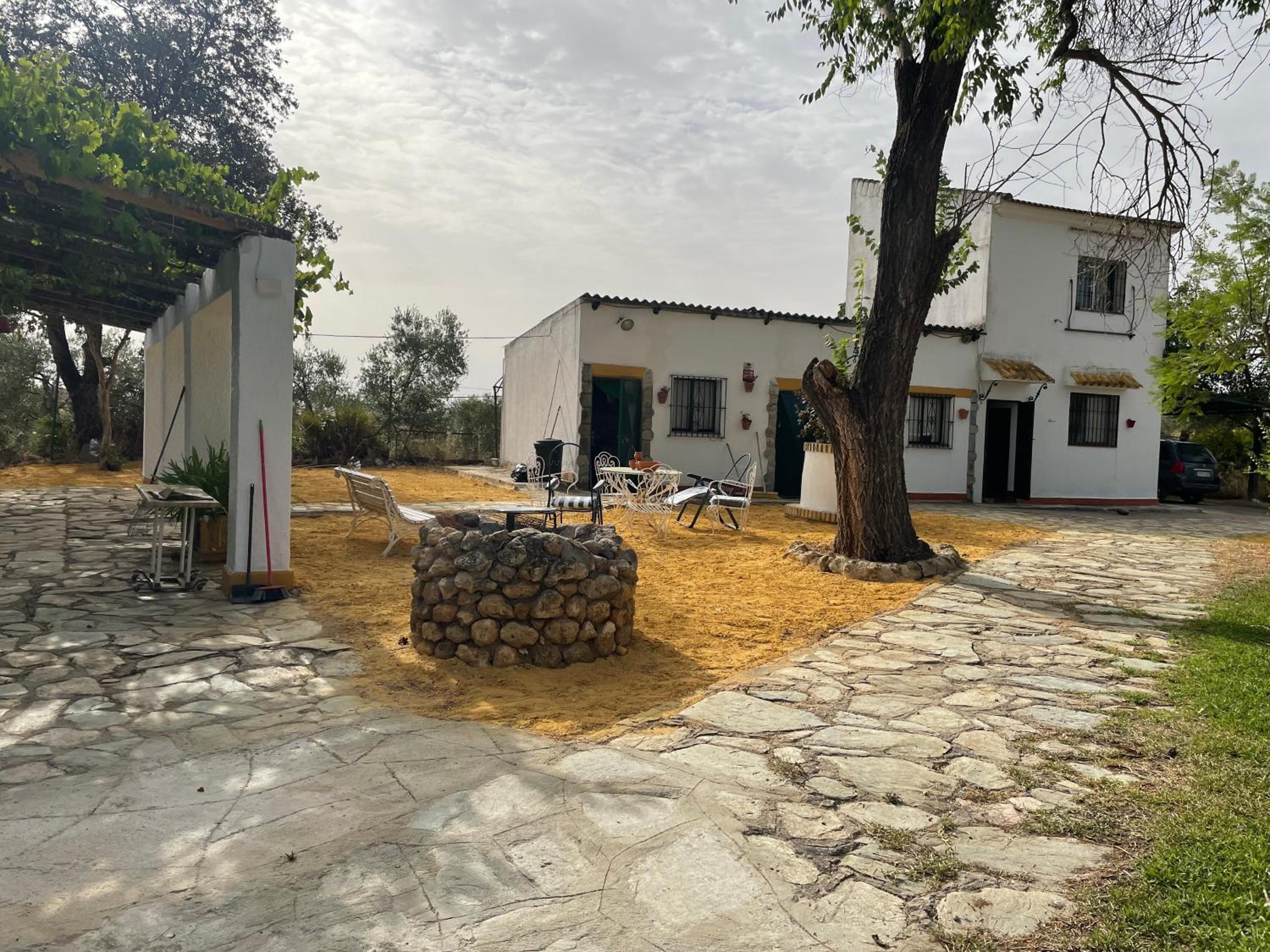 El Brinco