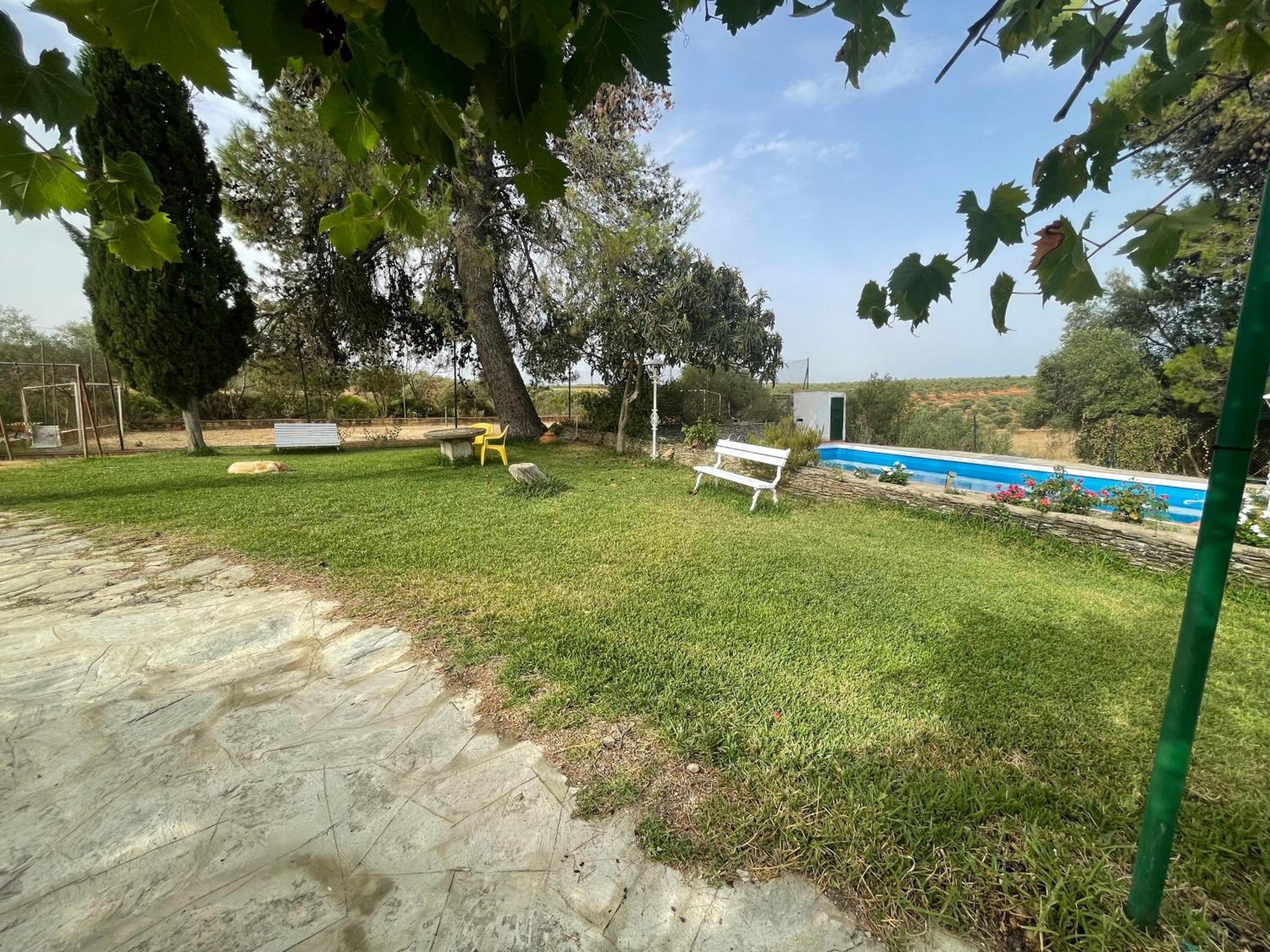 El Brinco