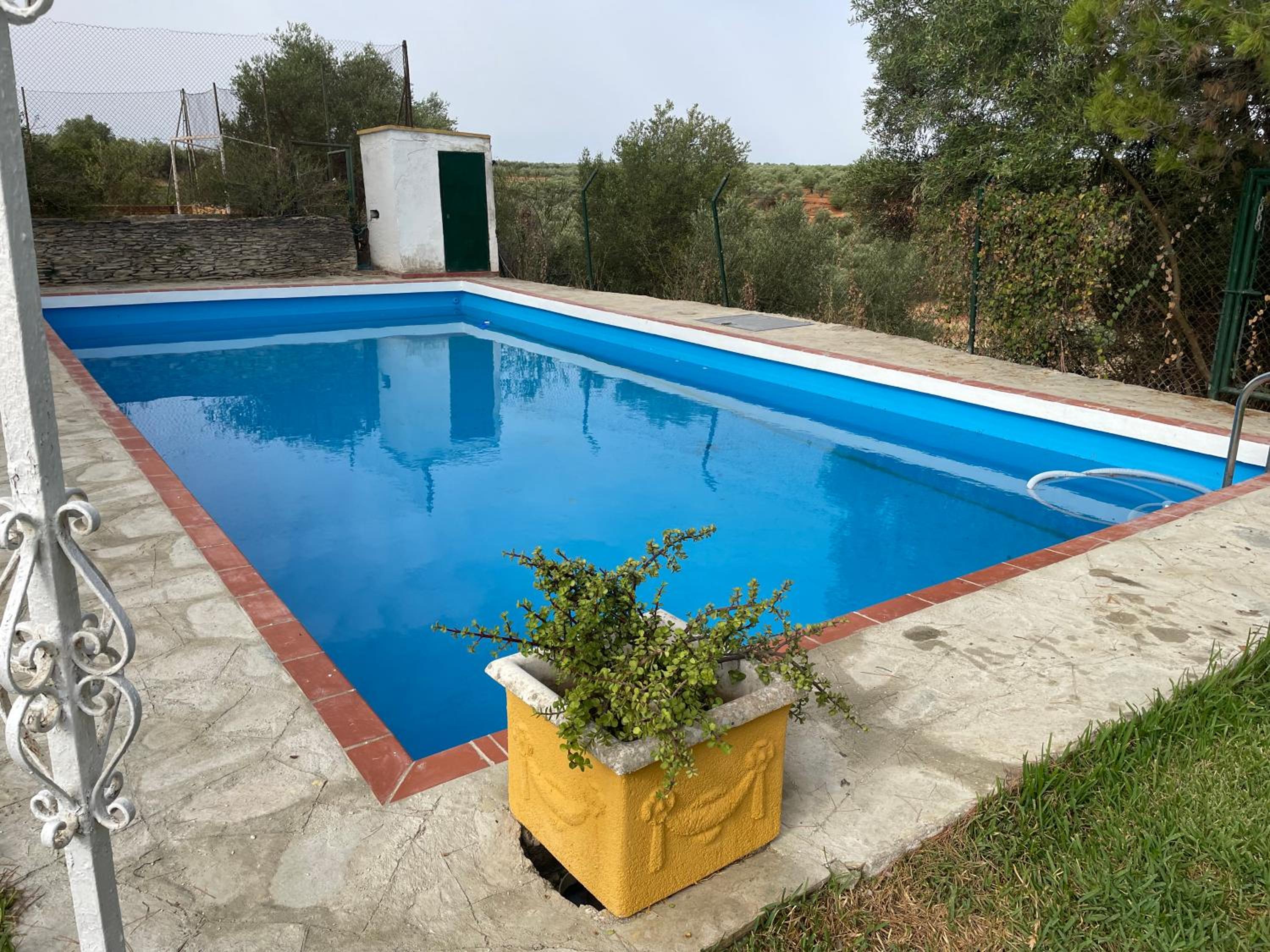 El Brinco
