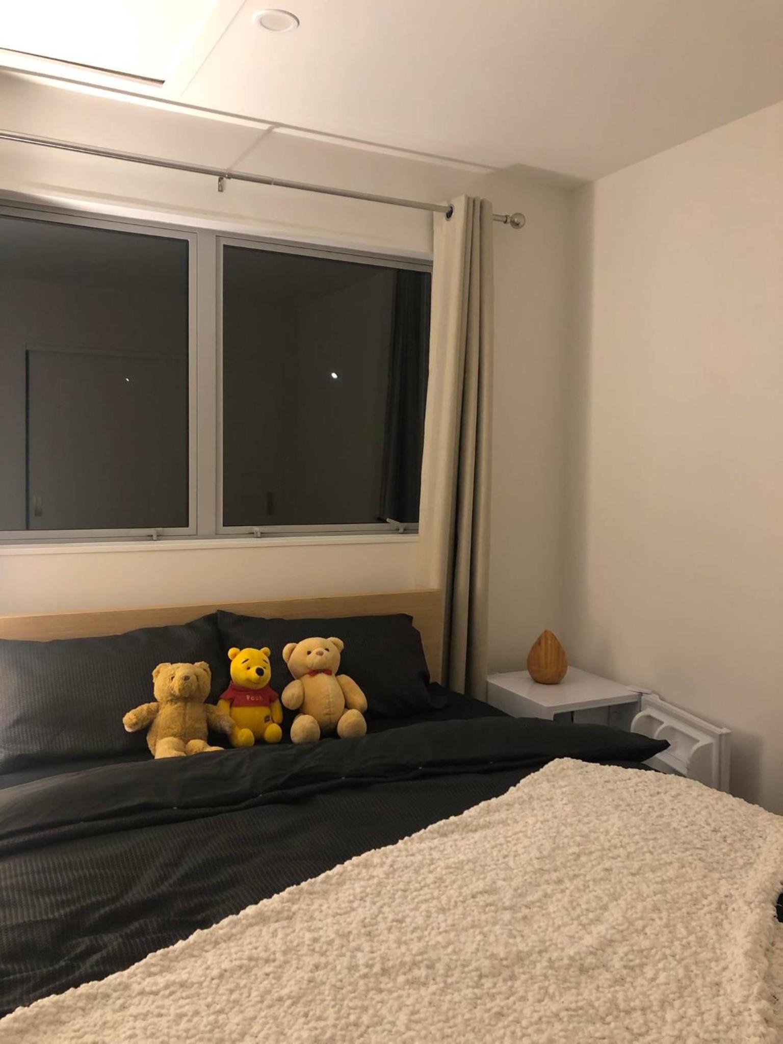 brand new townhouse homestay, free street parking view 4