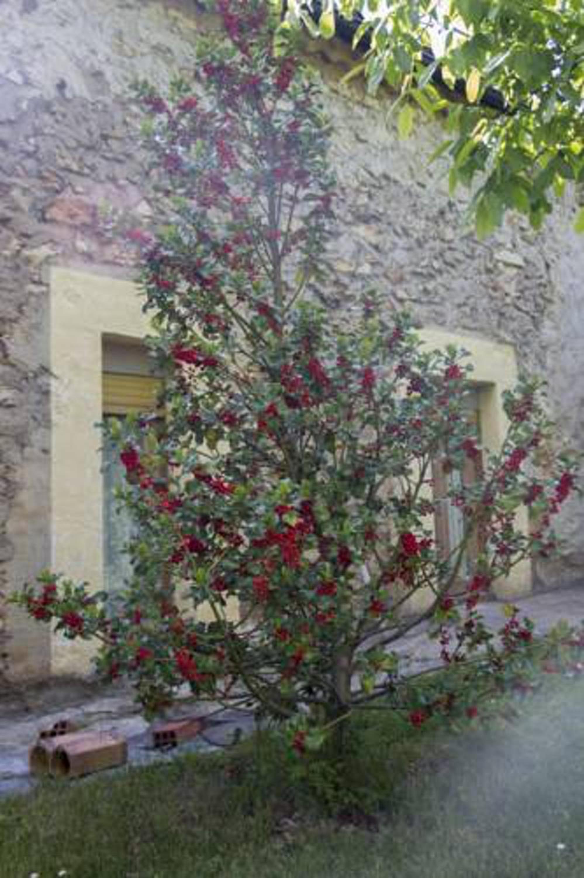 Photo 21