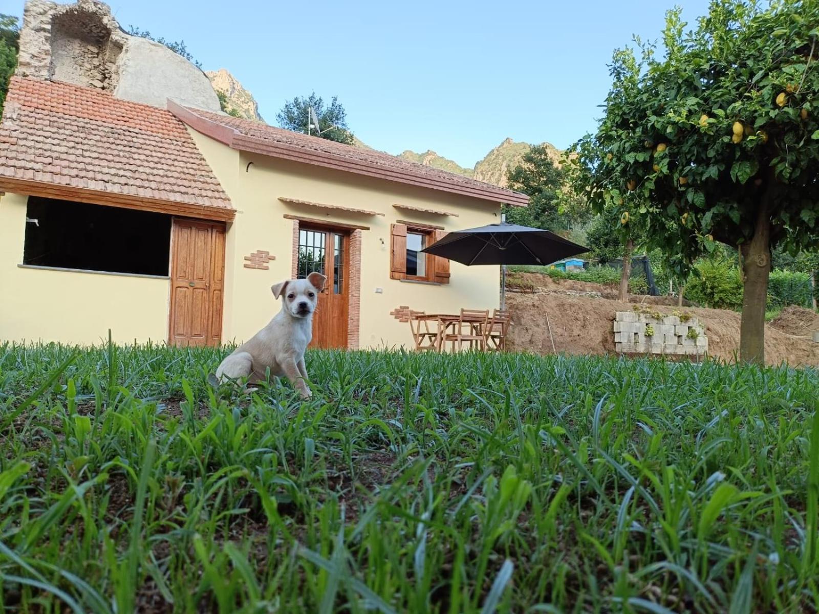 Capocampo Amalfi Coast
