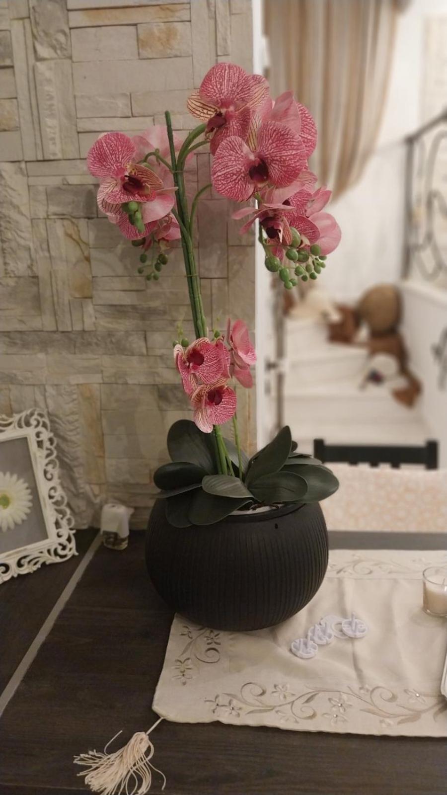 Ariadnis Apartment