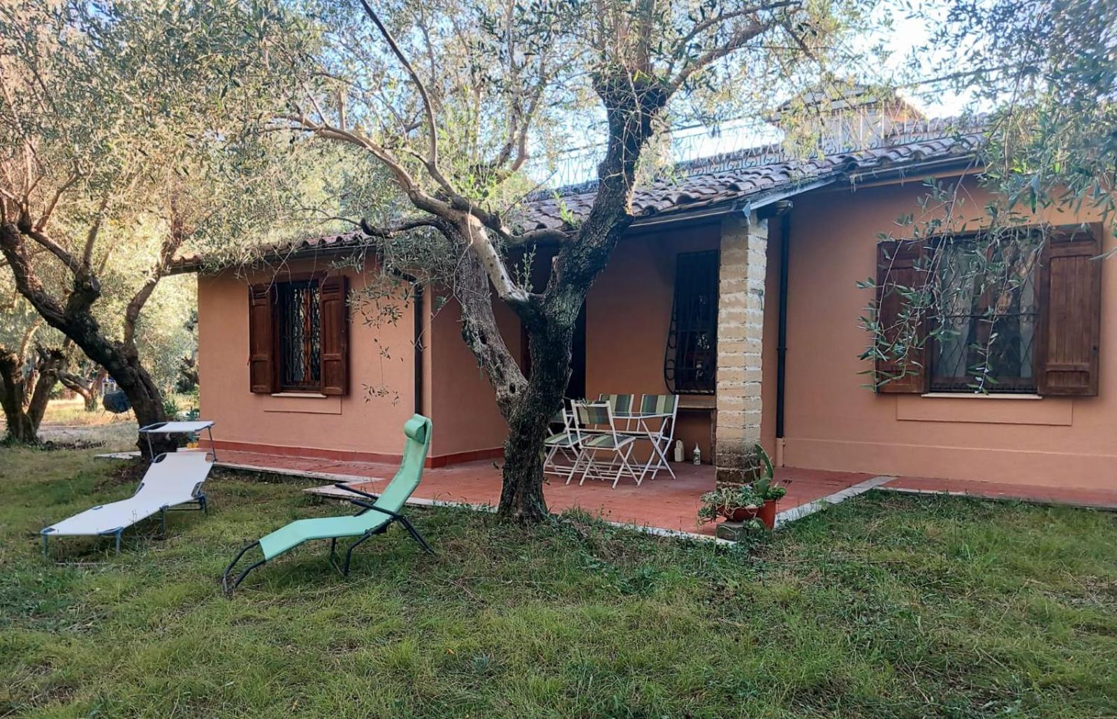 all'ombra degli olivi view 2