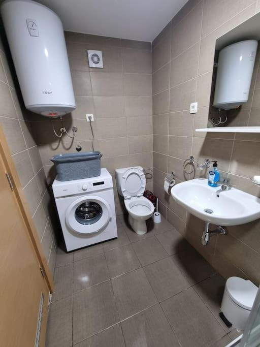 Apartment Mina