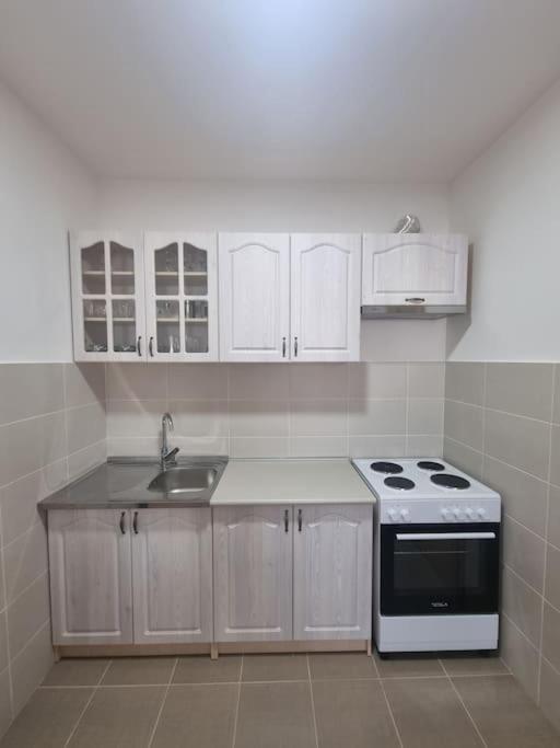 Apartment Mina