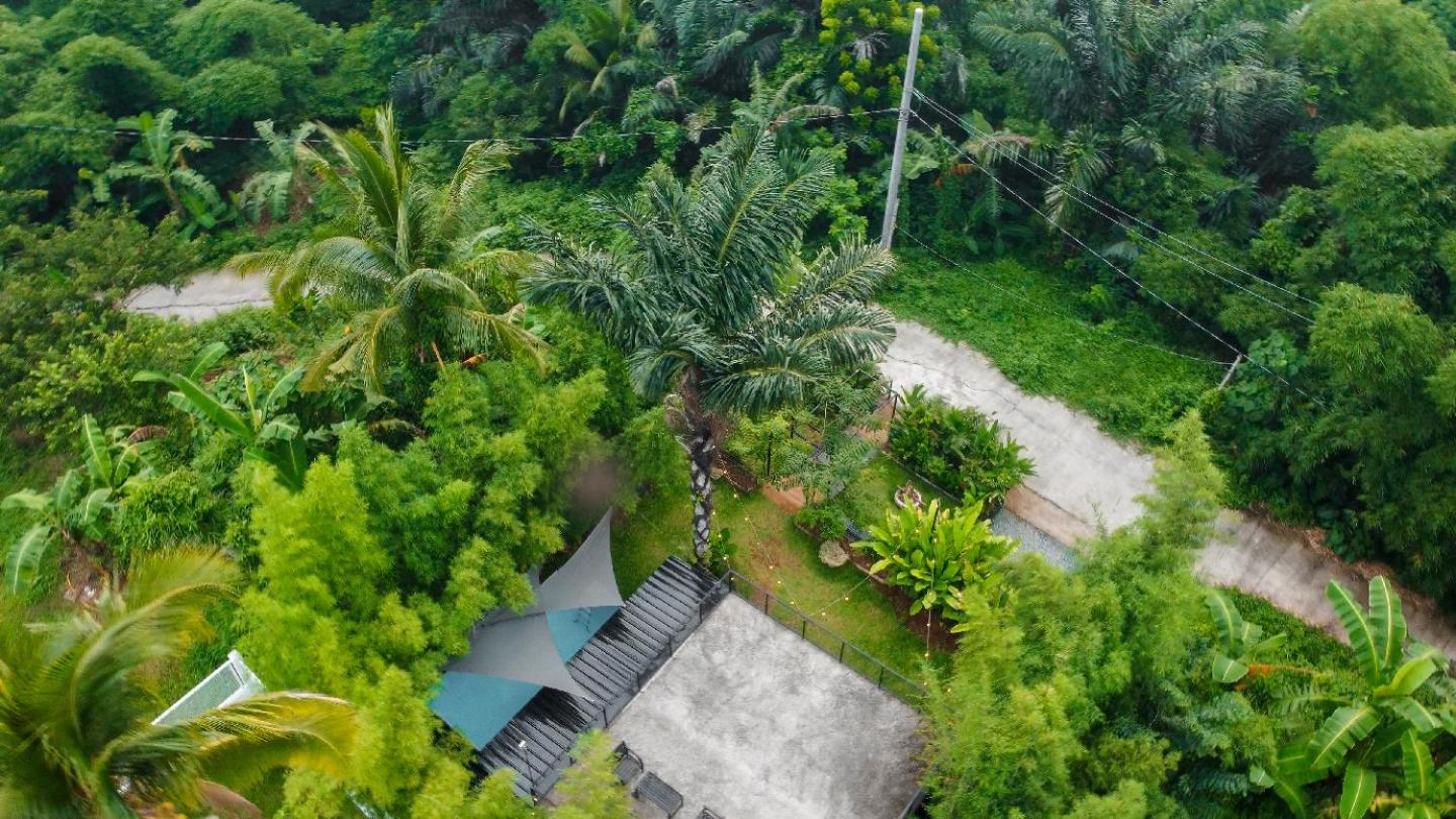 Photo 29