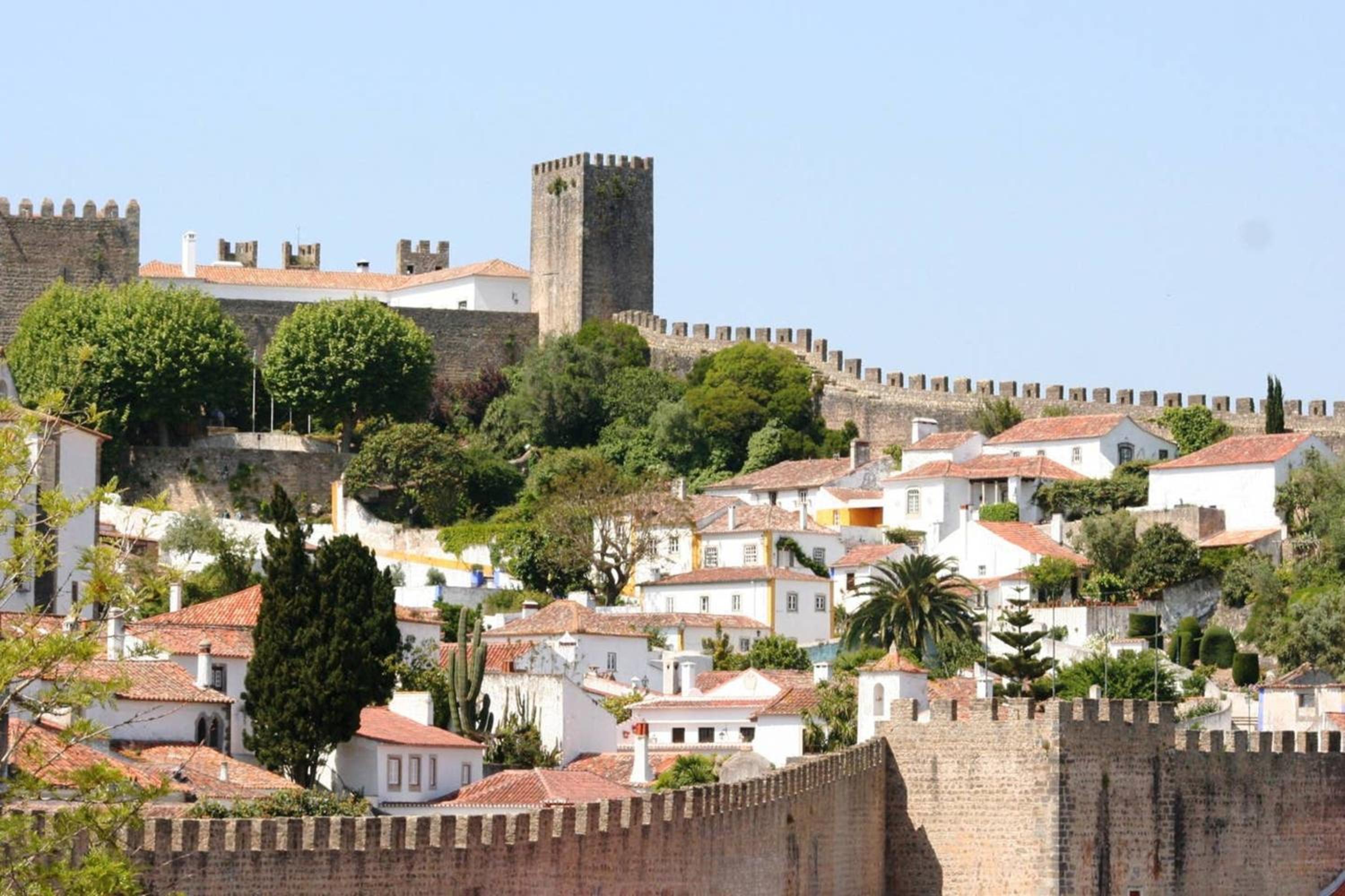 Cosy Apartment in Pataias with Shared Pool - 45 sqm view 4