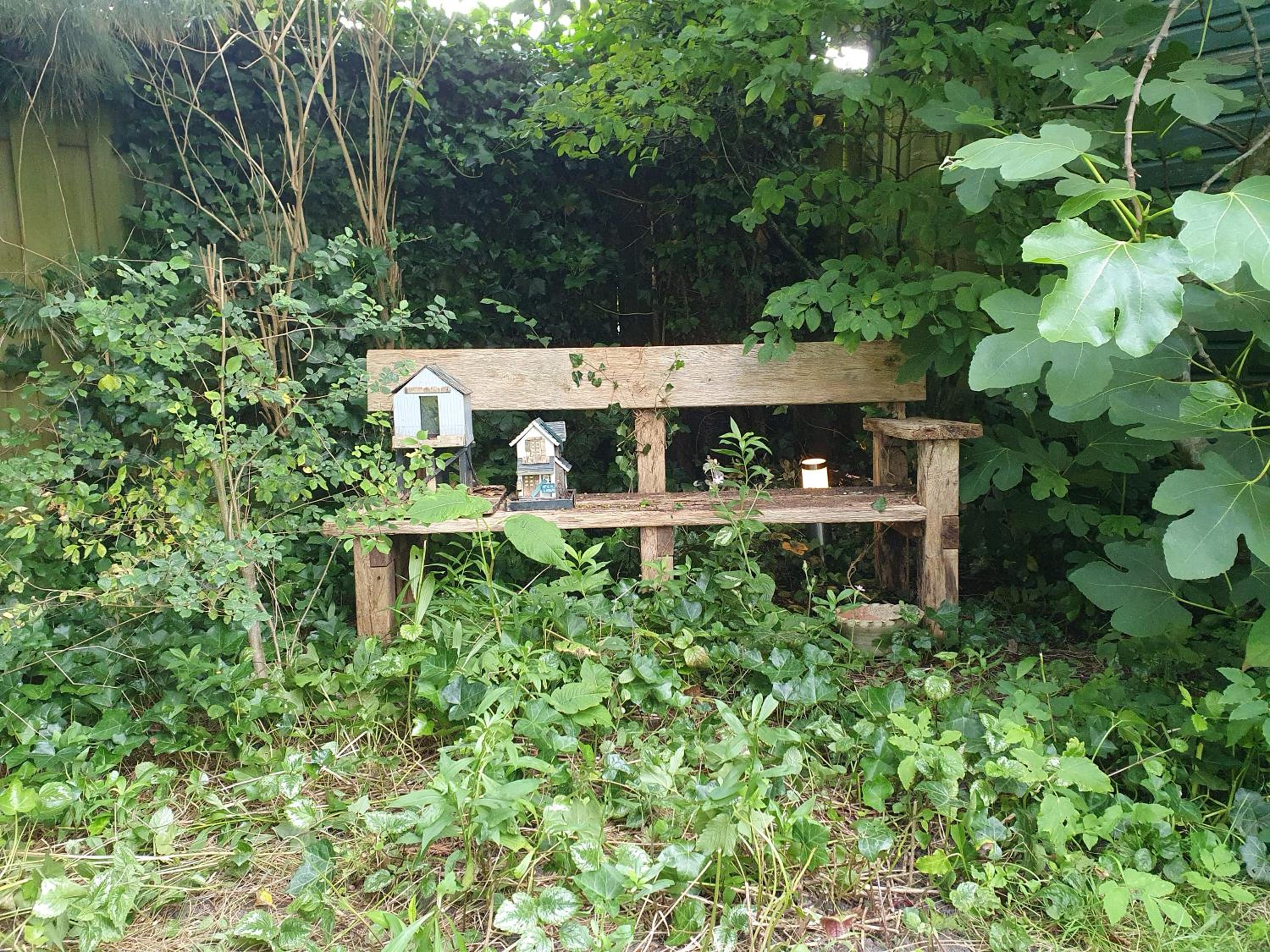 Photo 8